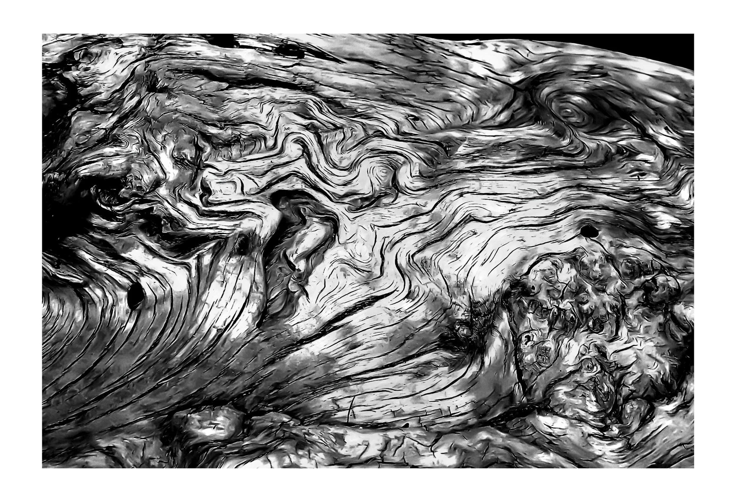 Web- LIGNES- 00-05-106.jpg