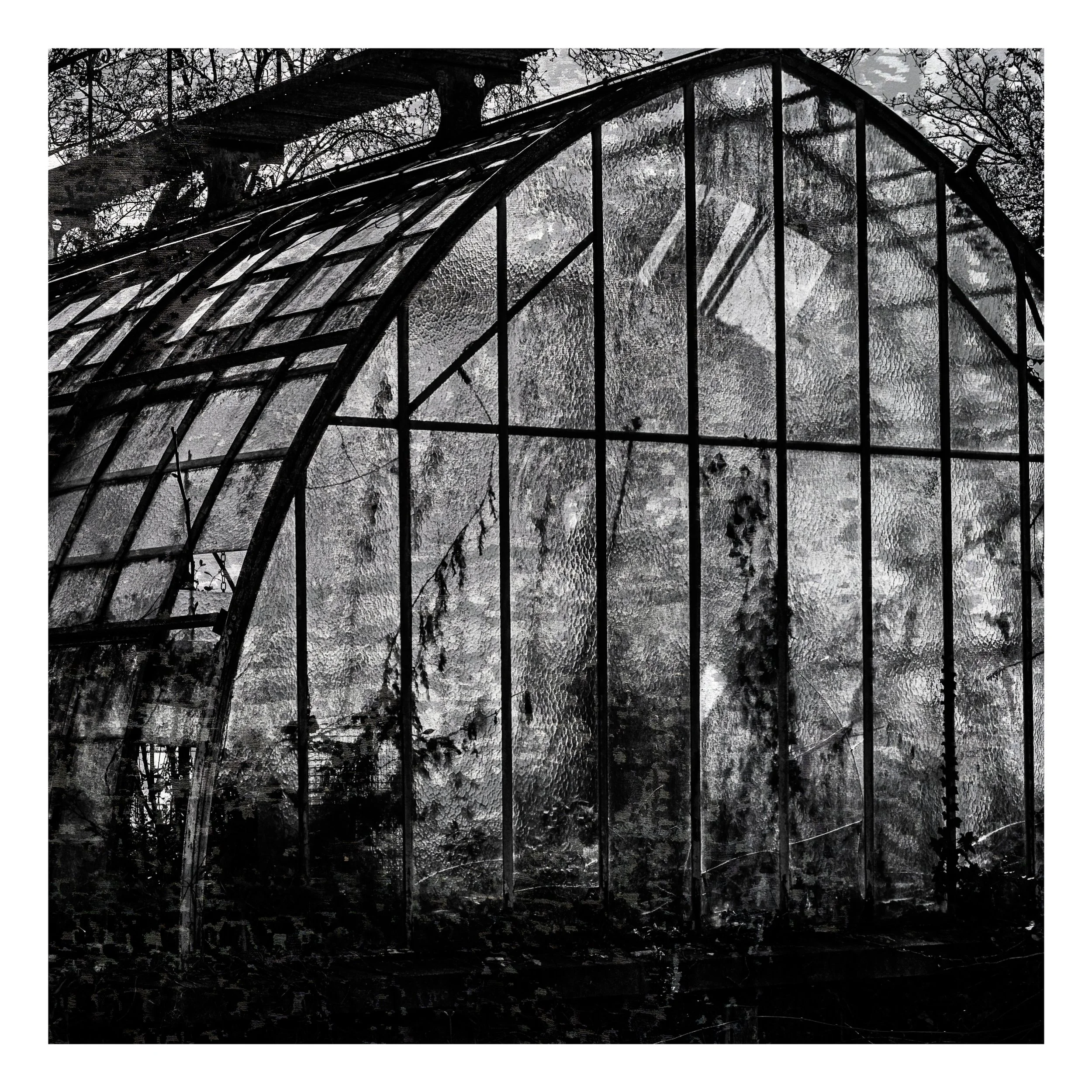 Web- ABSTRACTIONS - 00-05-141.jpg