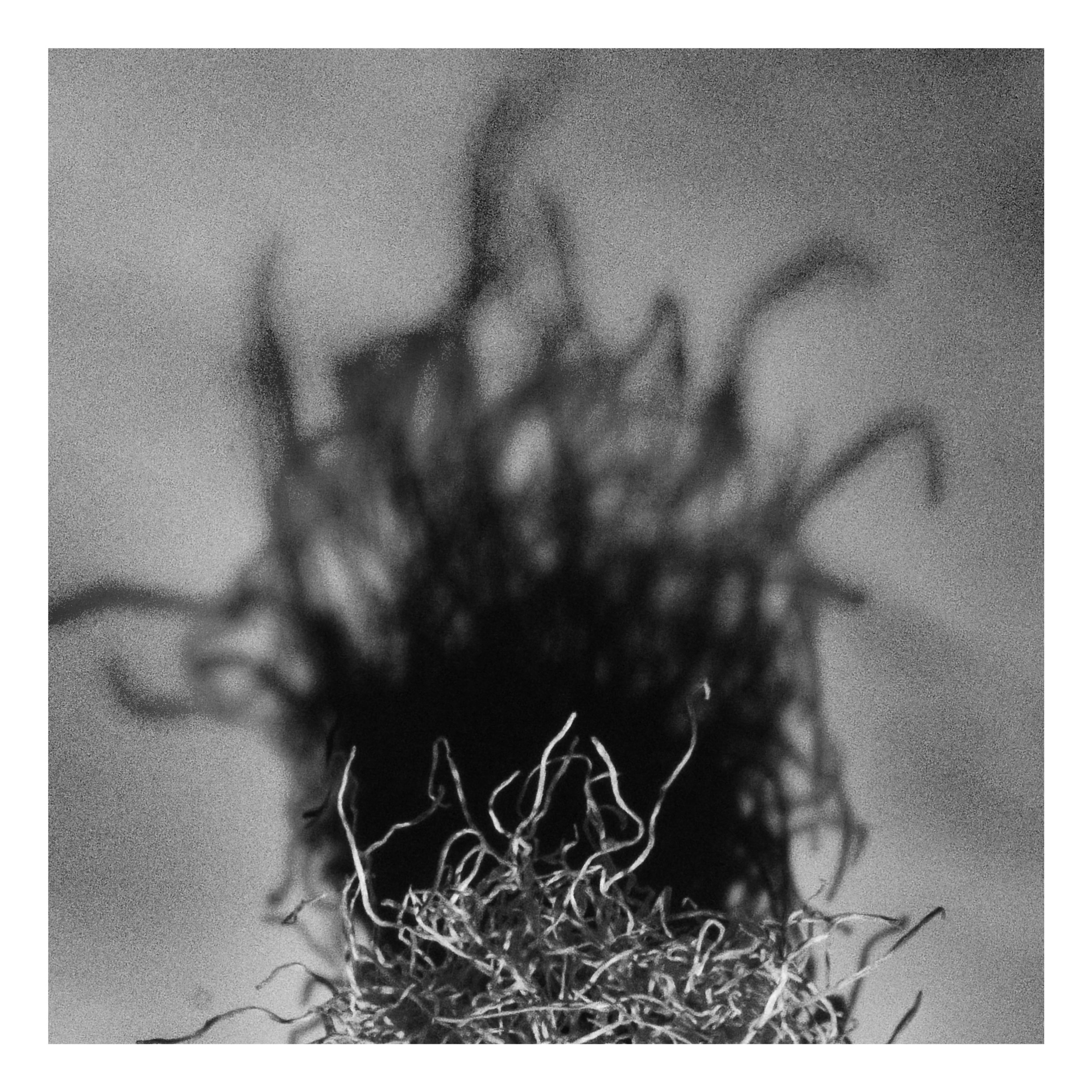 Abstraction-00-05-113