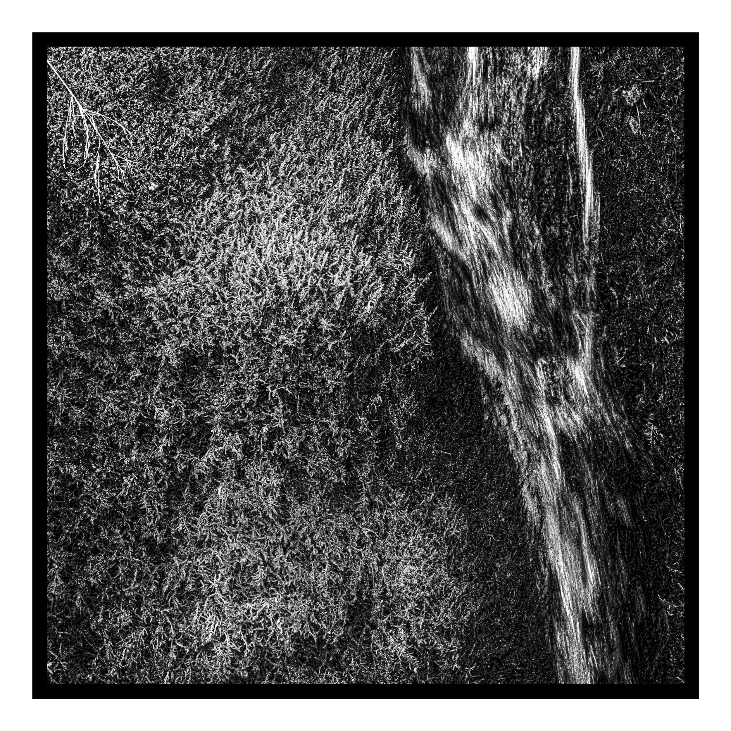 Abstraction-00-05-125