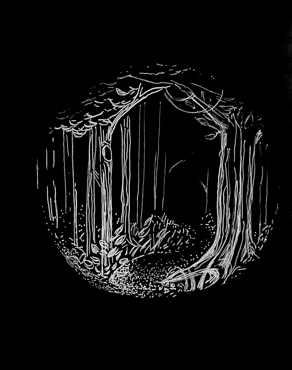 Drawings and Paintings