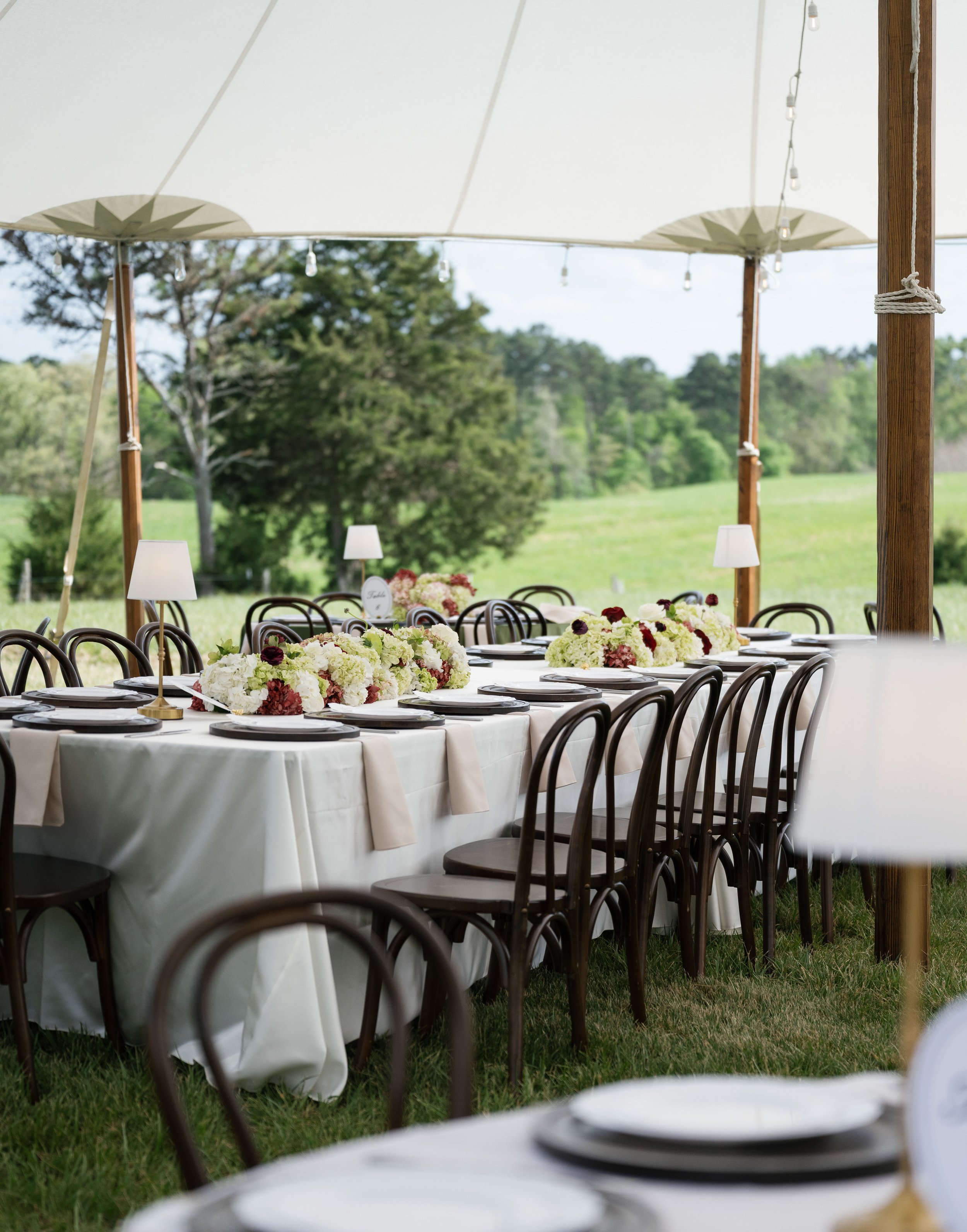 michelle-and-caleb-north-carolina-private-land-wedding-emily-battles-photography-106.jpg