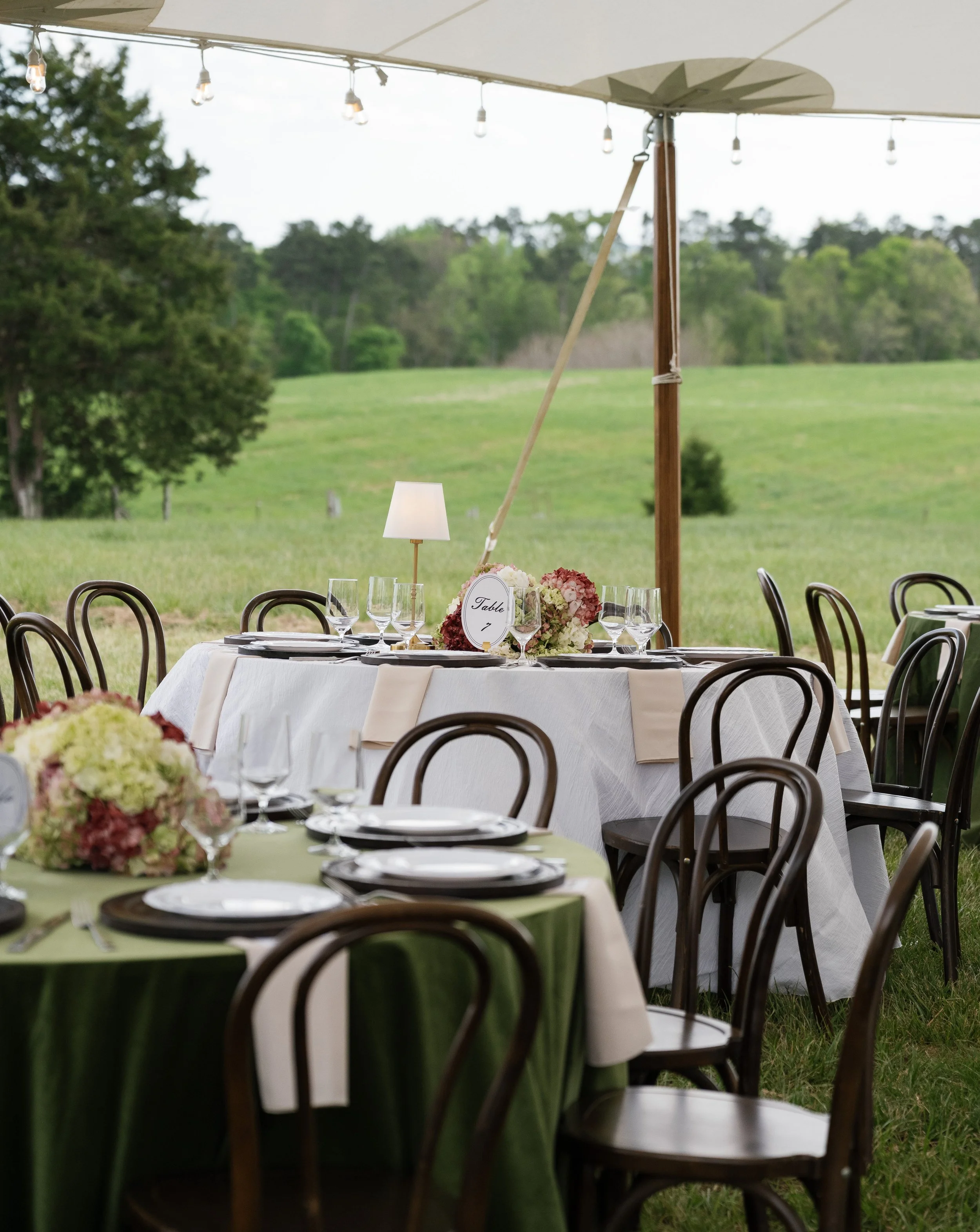 michelle-and-caleb-north-carolina-private-land-wedding-emily-battles-photography-108.jpg