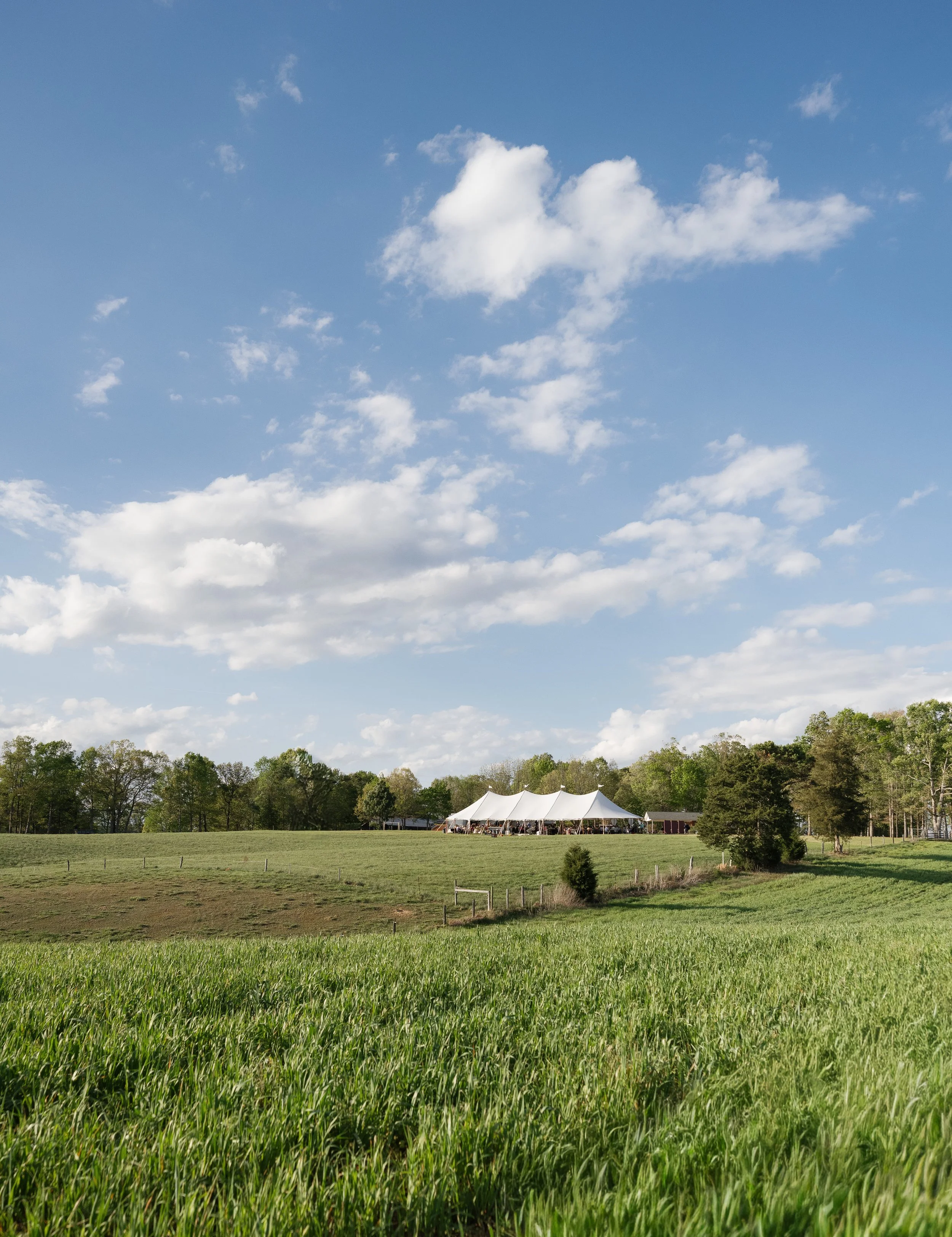 michelle-and-caleb-north-carolina-private-land-wedding-emily-battles-photography-98.jpg