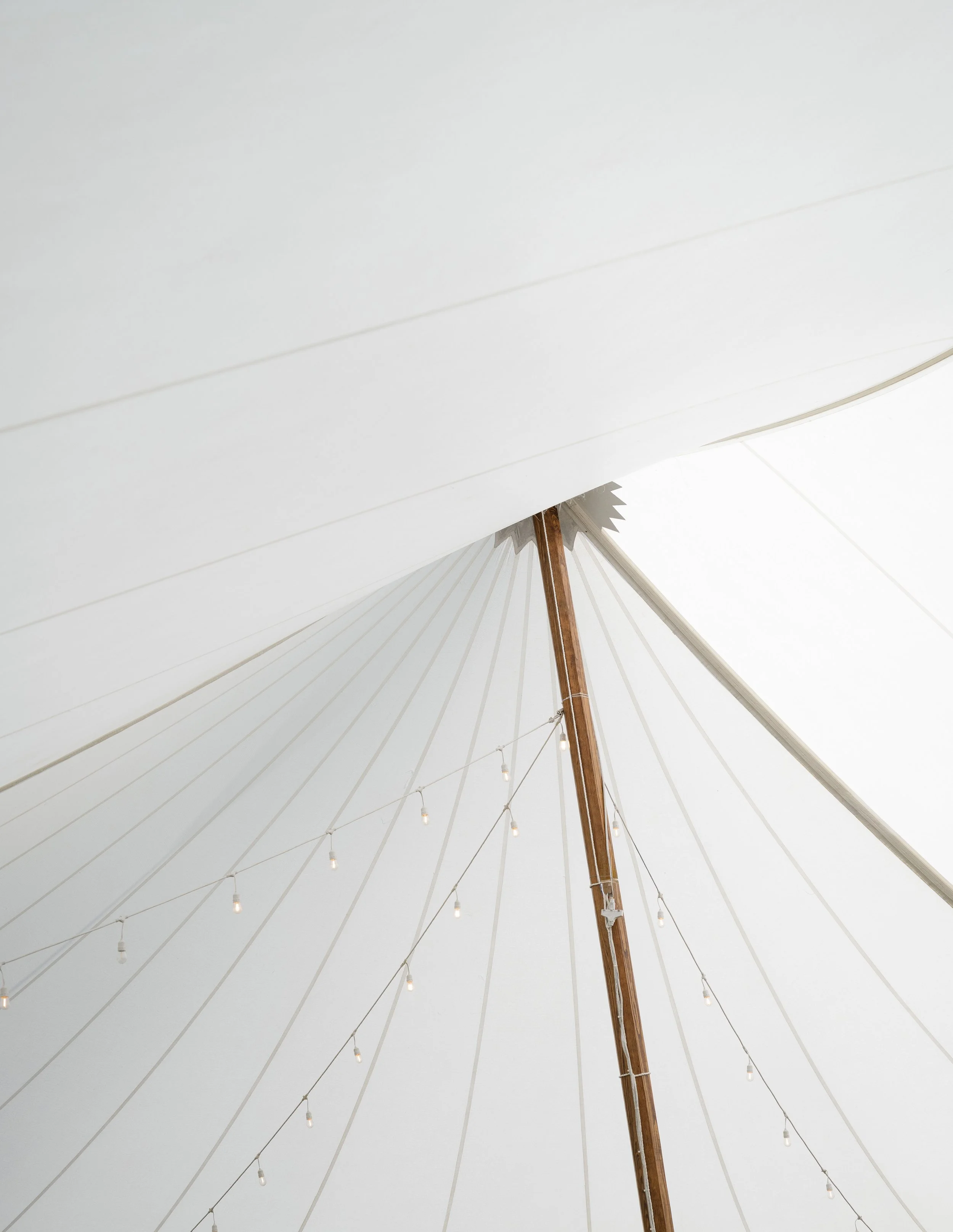michelle-and-caleb-north-carolina-private-land-wedding-emily-battles-photography-107.jpg