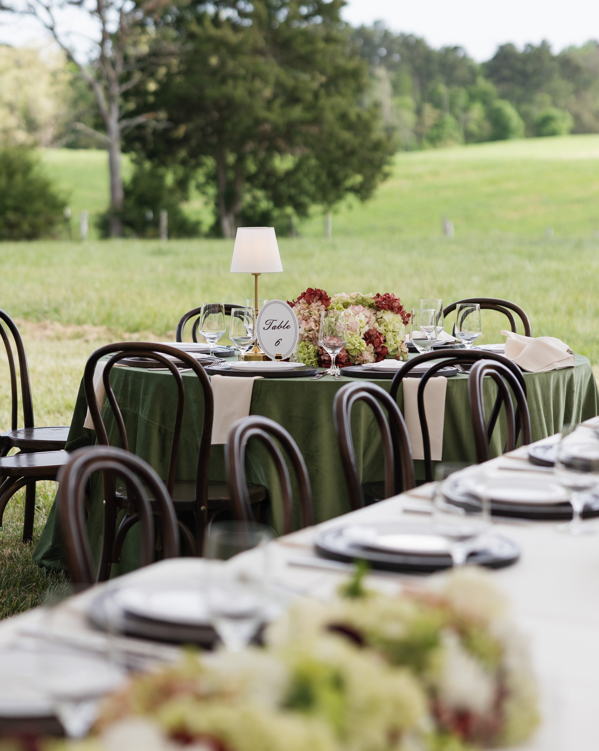 michelle-and-caleb-north-carolina-private-land-wedding-emily-battles-photography-110.jpg