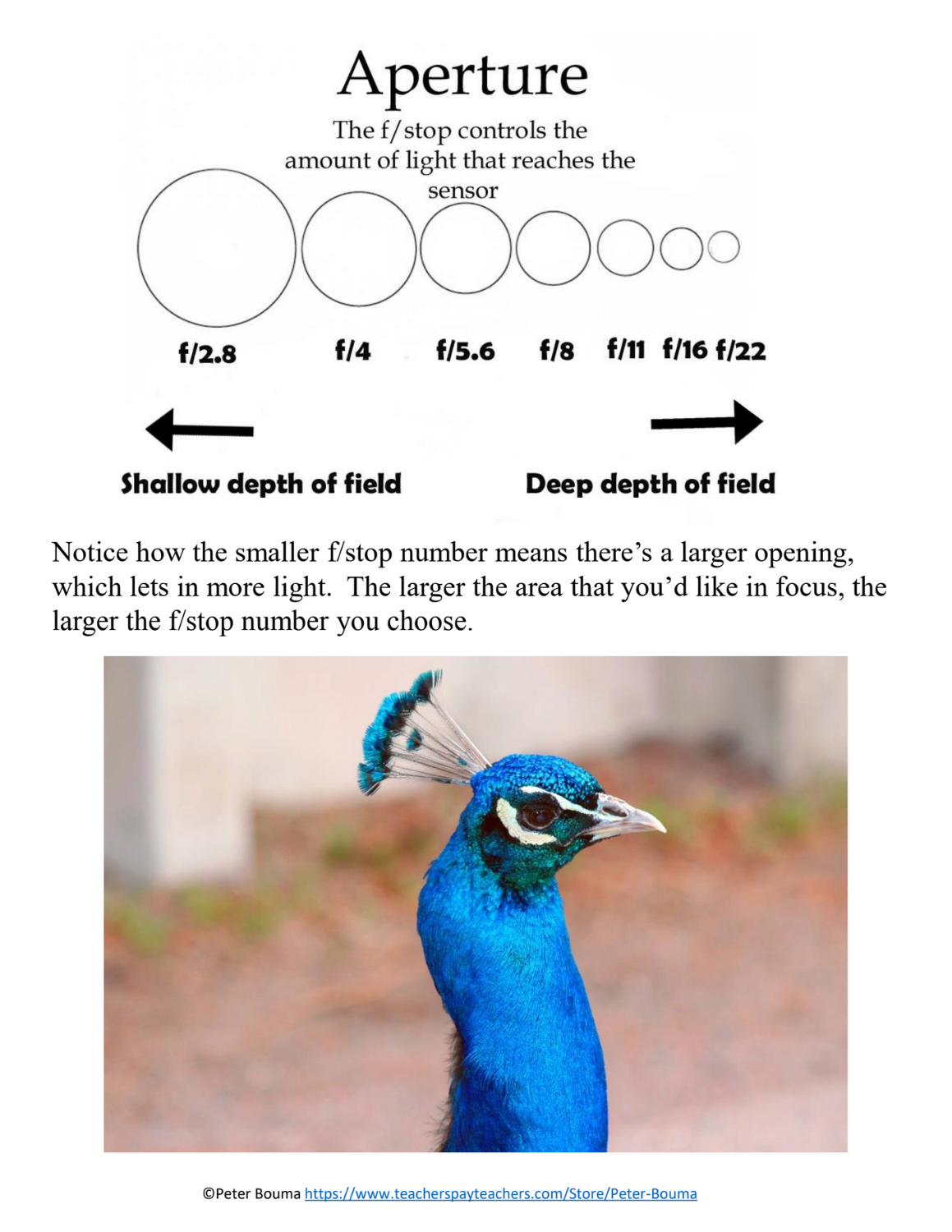 Written Layout Example (1).png