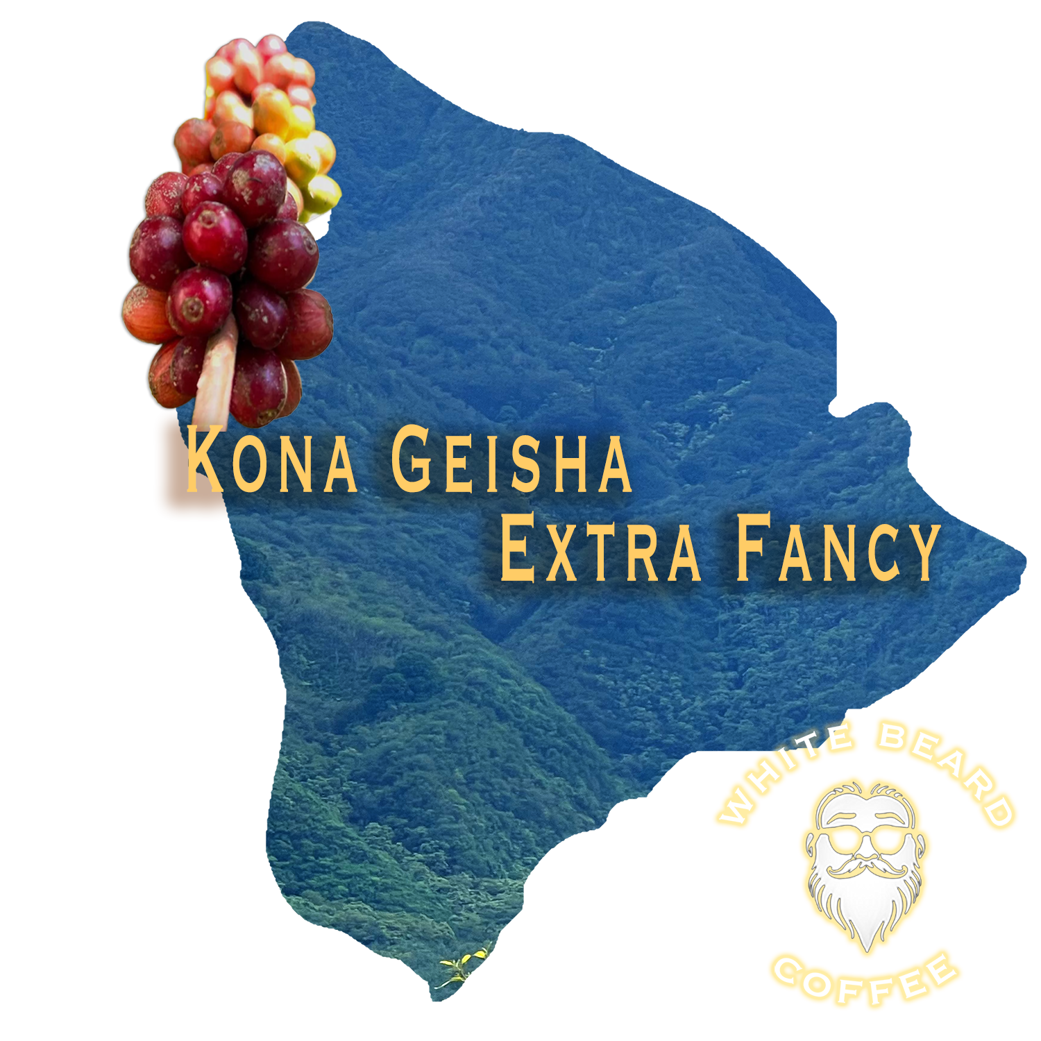 Hawaii - Kona Geisha copy.png