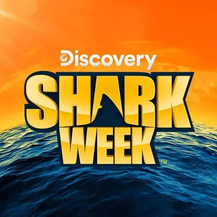 SHARK SCIENCE EXPLORERS &amp; LUNCH 