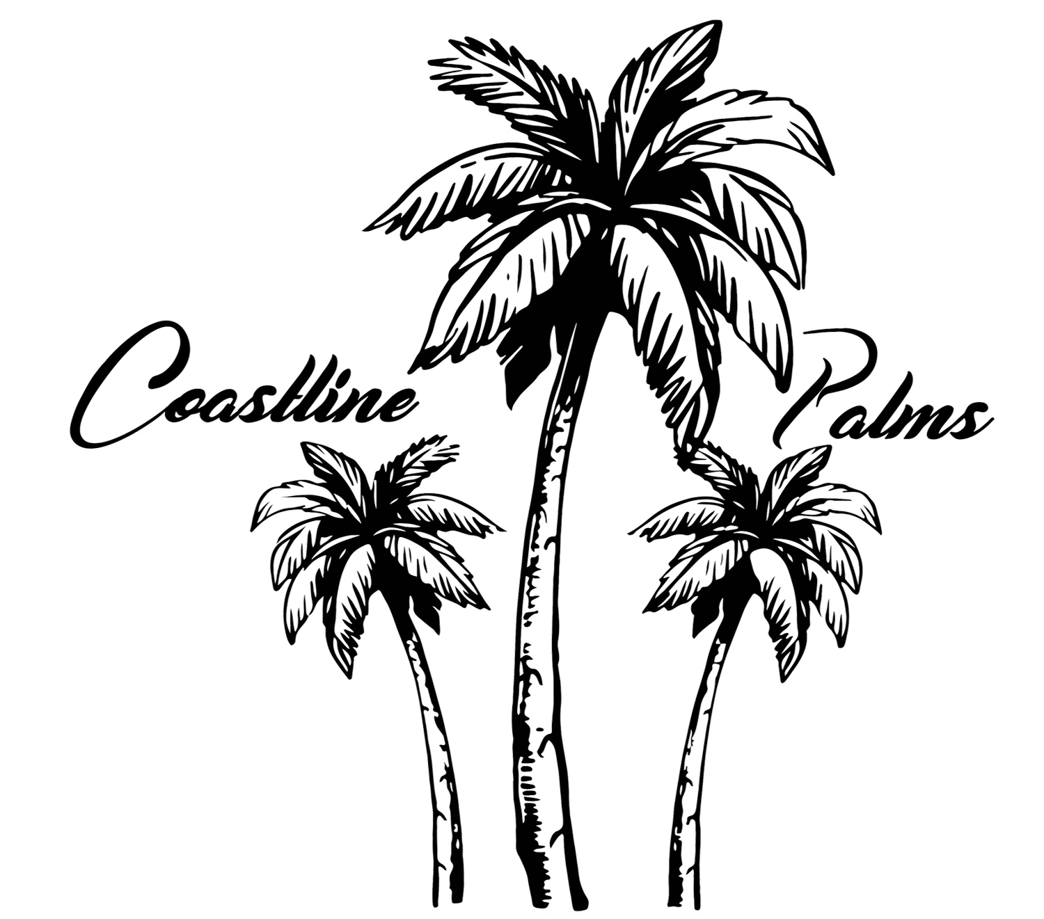 Coastline Palms 