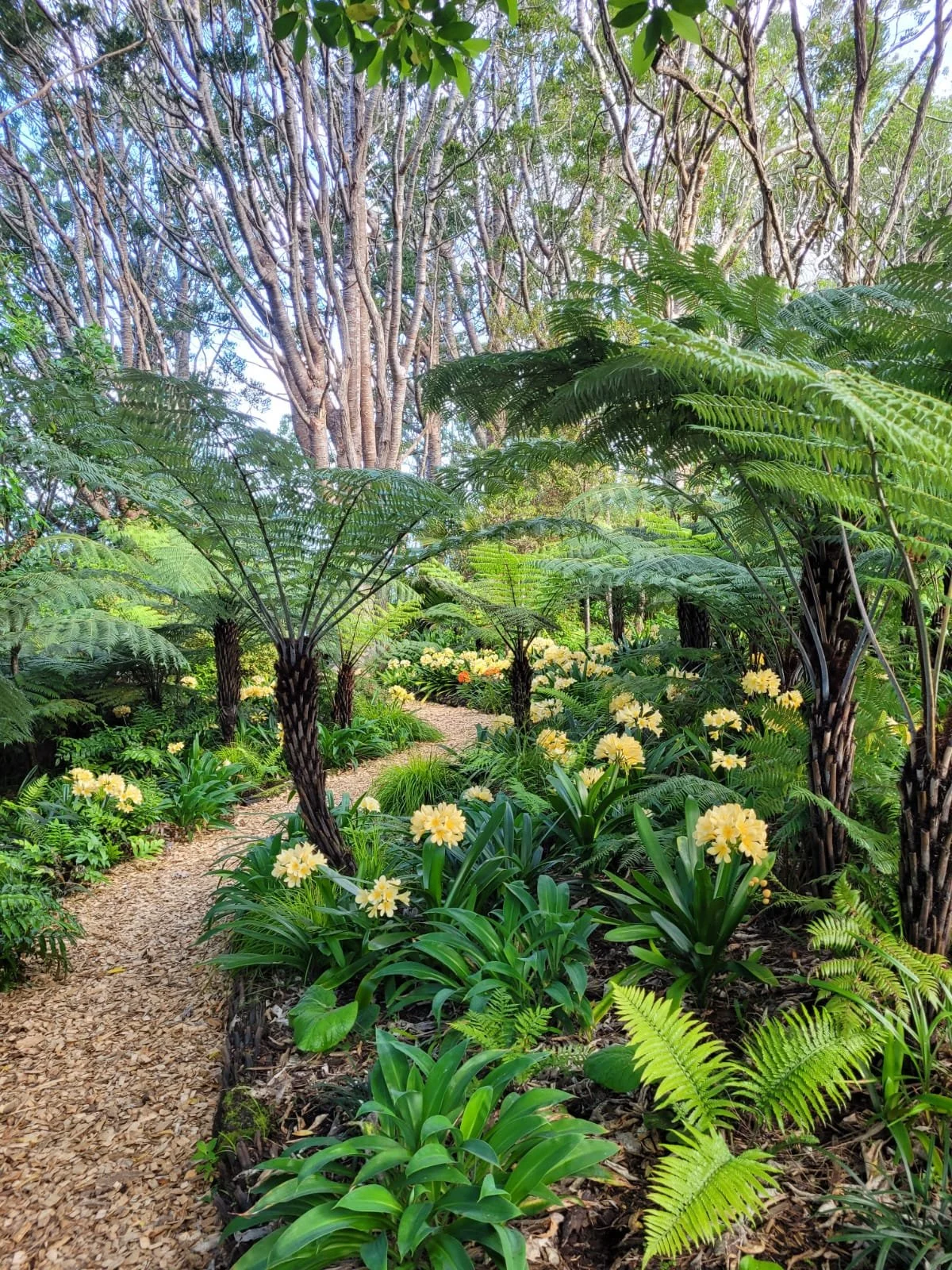 New Zealand Gardens Trust - Quality Garden Experiences Across NZ