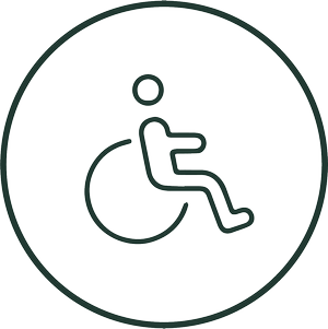 nzgt-disabled.png