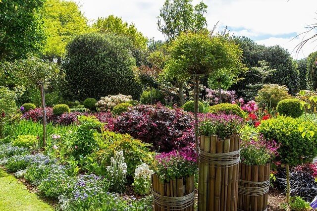 Cairnhill Garden 🌿

A beautiful rural garden with year-round interest and colour located along the Forgotten World Highway in Stratford. The garden has more than 100 rhododendrons, some mature as forty years, and many types including hybrids and tal