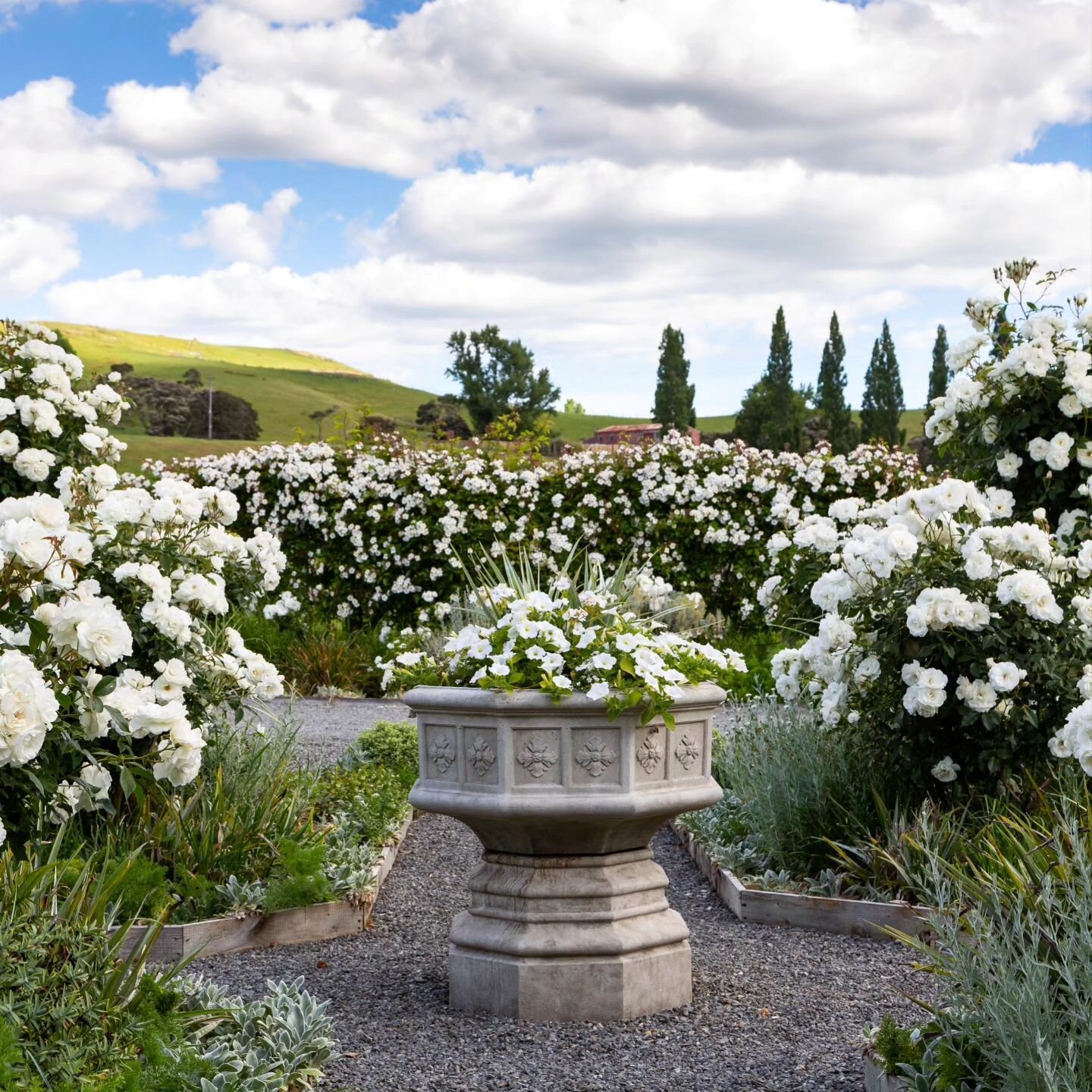 Longbush Cottage 🪻

Located in the beautiful central Wairarapa, only 15 minutes from Martinborough and Carterton, is a flower-filled cottage garden. Surrounding the 1890s cottage on a sprawling hectare of land, is a garden divided into vibrant rooms