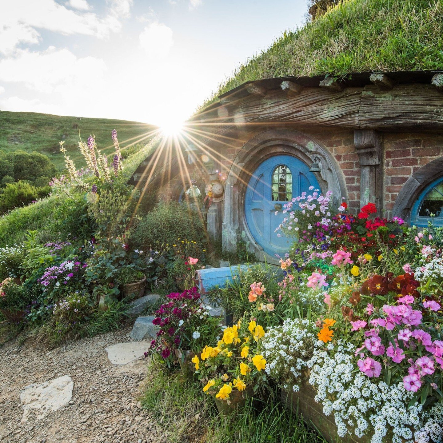 The gardens at Hobbiton&trade; Movie Set have a naturally rambling style, with a profusion of plants co-existing without rigid lines or divisions. 
Designed and created for the Lord of the Rings and The Hobbit Trilogies, the Hobbiton Movie Set garden