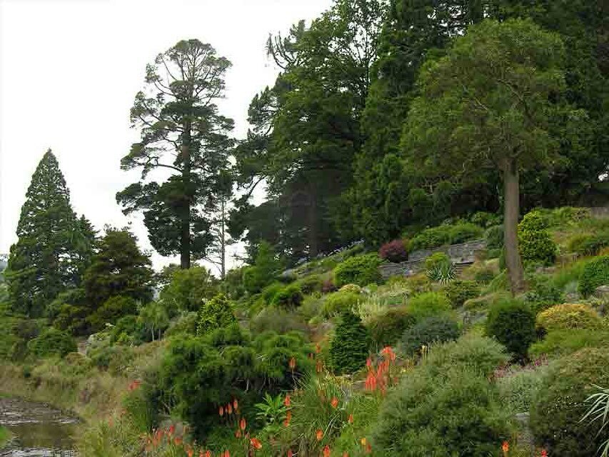 Dunedin Botanic Gardens 

The Botanic Garden is a garden of great variety with the Leith Stream on the southern boundary and Lindsay Creek running through the middle dividing the garden in two. From the formal, almost level area of the lower garden w