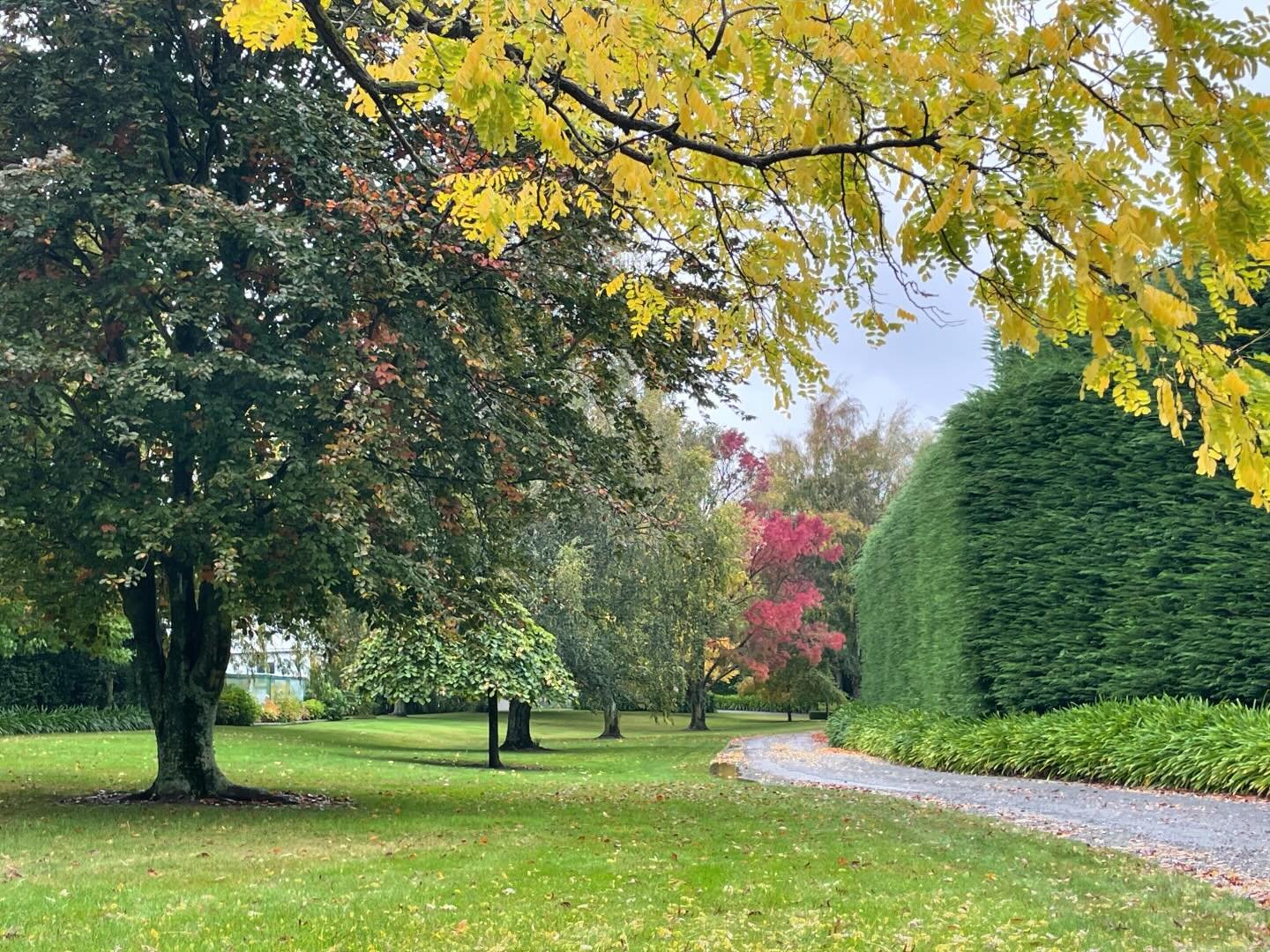 Woodend Garden in #blenheim #marlborough - wearing its autumn cloak so elegantly.  #opentovisit #nzgardenstrust #special #visitagarden #nzgardens