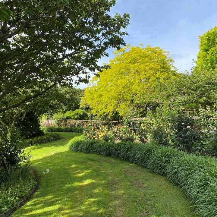 Shalendy Garden ⭐️⭐️⭐️⭐️

Shalendy garden was established in 1990 from a bare paddock to complement our new home and create a piece of paradise to look good all year round. Arrive via a tar-sealed winding drive through plantings of avocados. Upon ent
