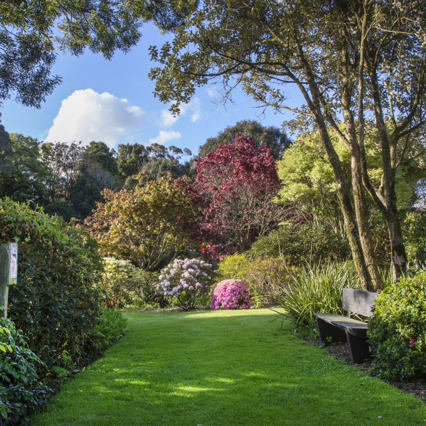 Hollard Gardens 🌺

@hollardgardens is a plant collectors dream, displaying huge varieties of both native and exotic plants. The garden continues Bernie Hollard's legacy of collection, plant innovation, and sustainability. The garden is comprised of 