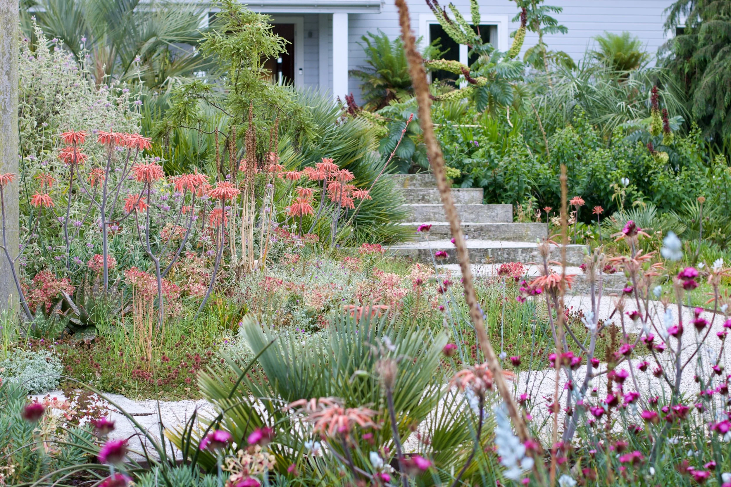 A garden to visit in New Zealand. 