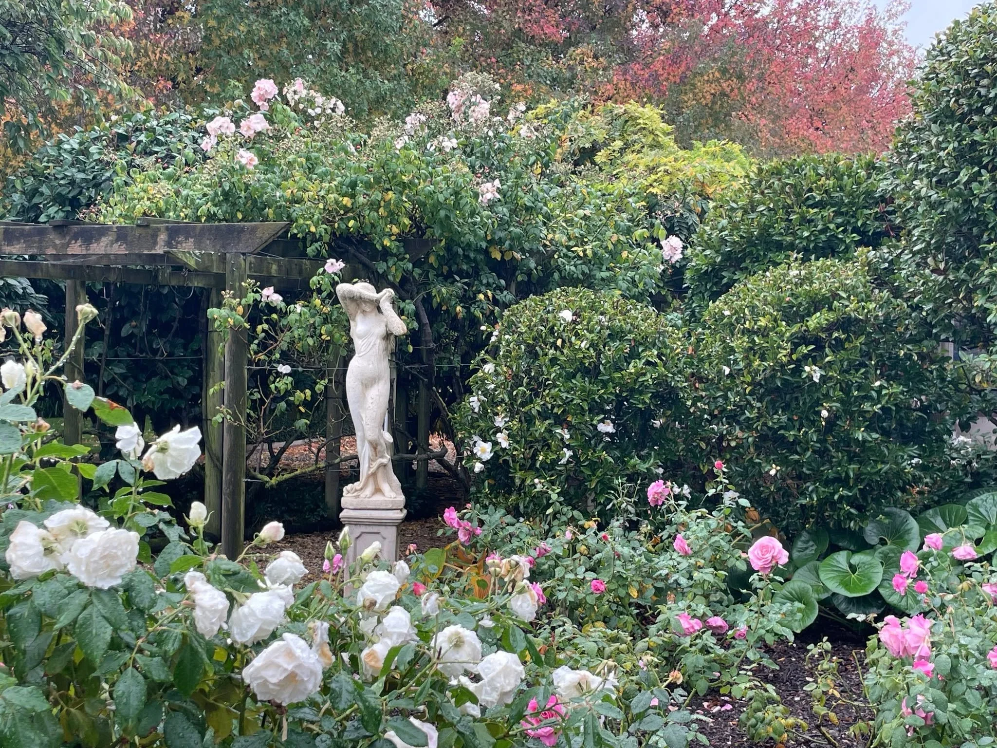 ★★★★ Woodend Gardens are situated just five minutes north of Blenheim. 

The 2.5ha formal garden features many different zones with all unique elements and hidden sanctuaries - a selected wedding area, woodland gardens, pond and water features, a lar