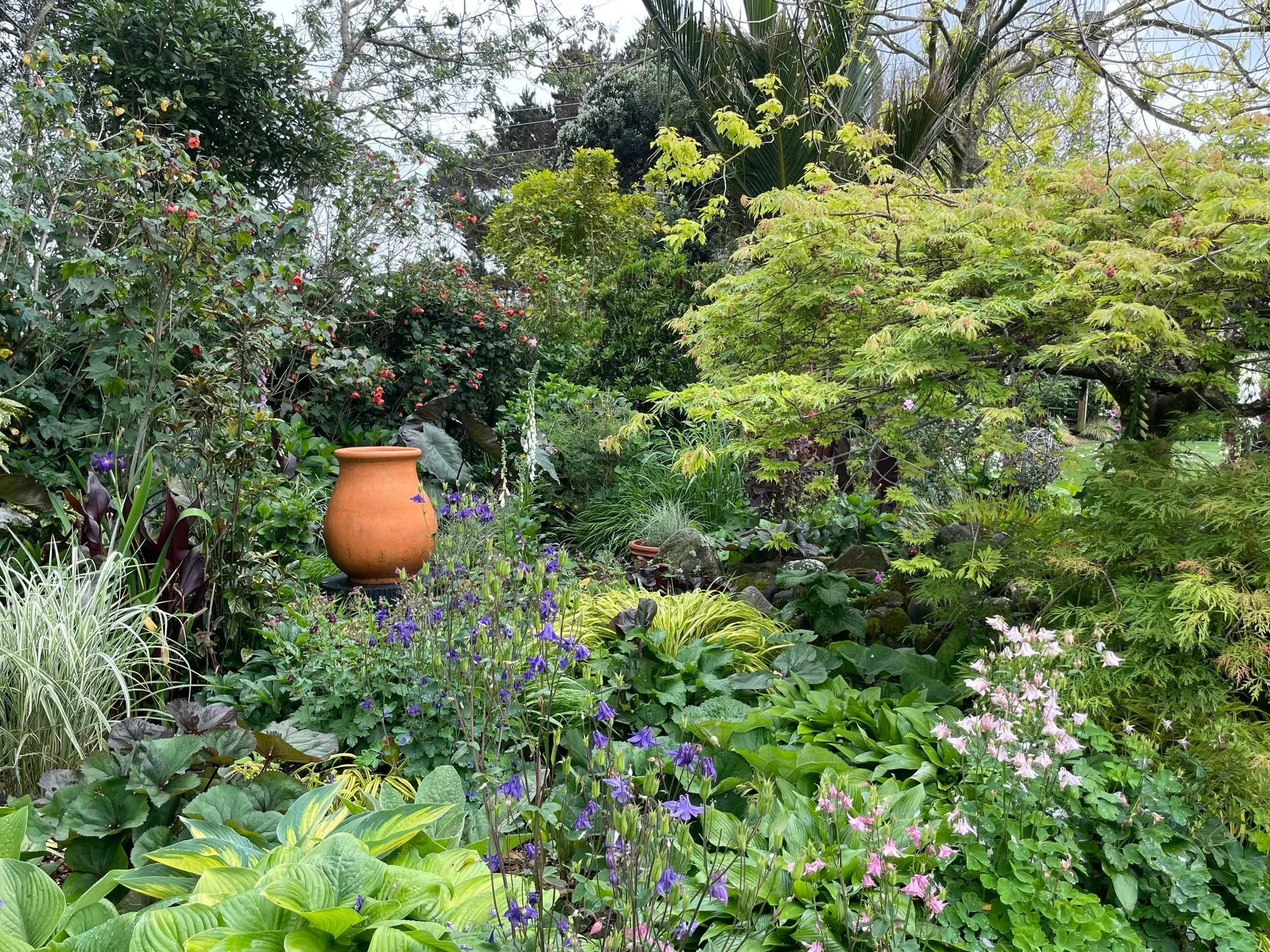Sanderson Garden ★★★★★

Looking for a garden wander that feeds the soul? A visit to Sanderson Garden is a must. 

Sculptures and ornaments are tucked throughout the grounds, creating little surprises as you explore. There are plenty of spaces to mean
