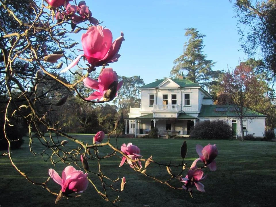 Gwavas Garden ★★★★★

Gwavas Garden was laid out in the 1880s by A.S.G. Carlyon. Phyllida Gibson, the present owner, is the 5th generation at Gwavas and she and her husband Stuart live in the homestead, built in 1890, surrounded by 9 hectares of woodl