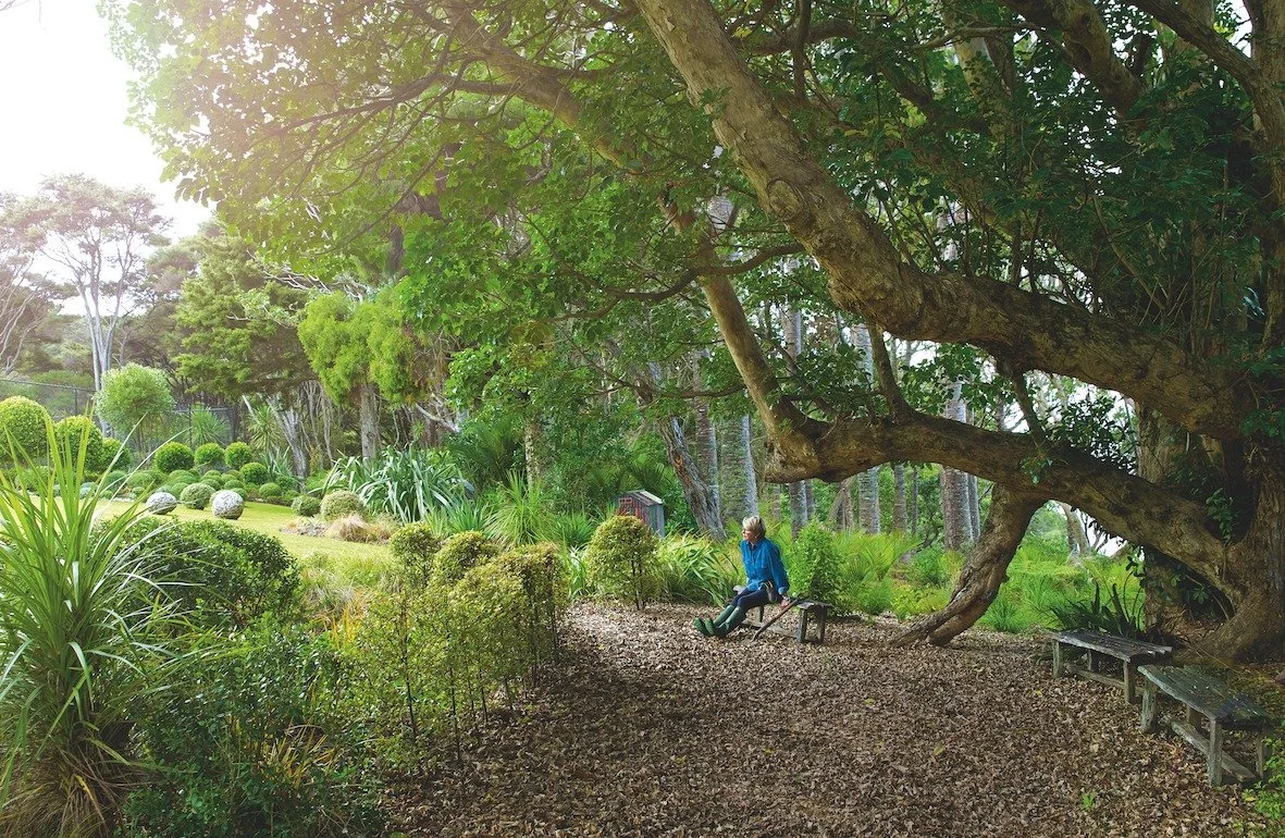 Omaio ★★★★★★
Discover Omaio, a six-star Garden of International Significance on the Takatu Peninsula, just north of Auckland and close to Matakana.

Set on 18 acres of coastal landscape, the garden surrounds a log cabin nestled in native bush, with v