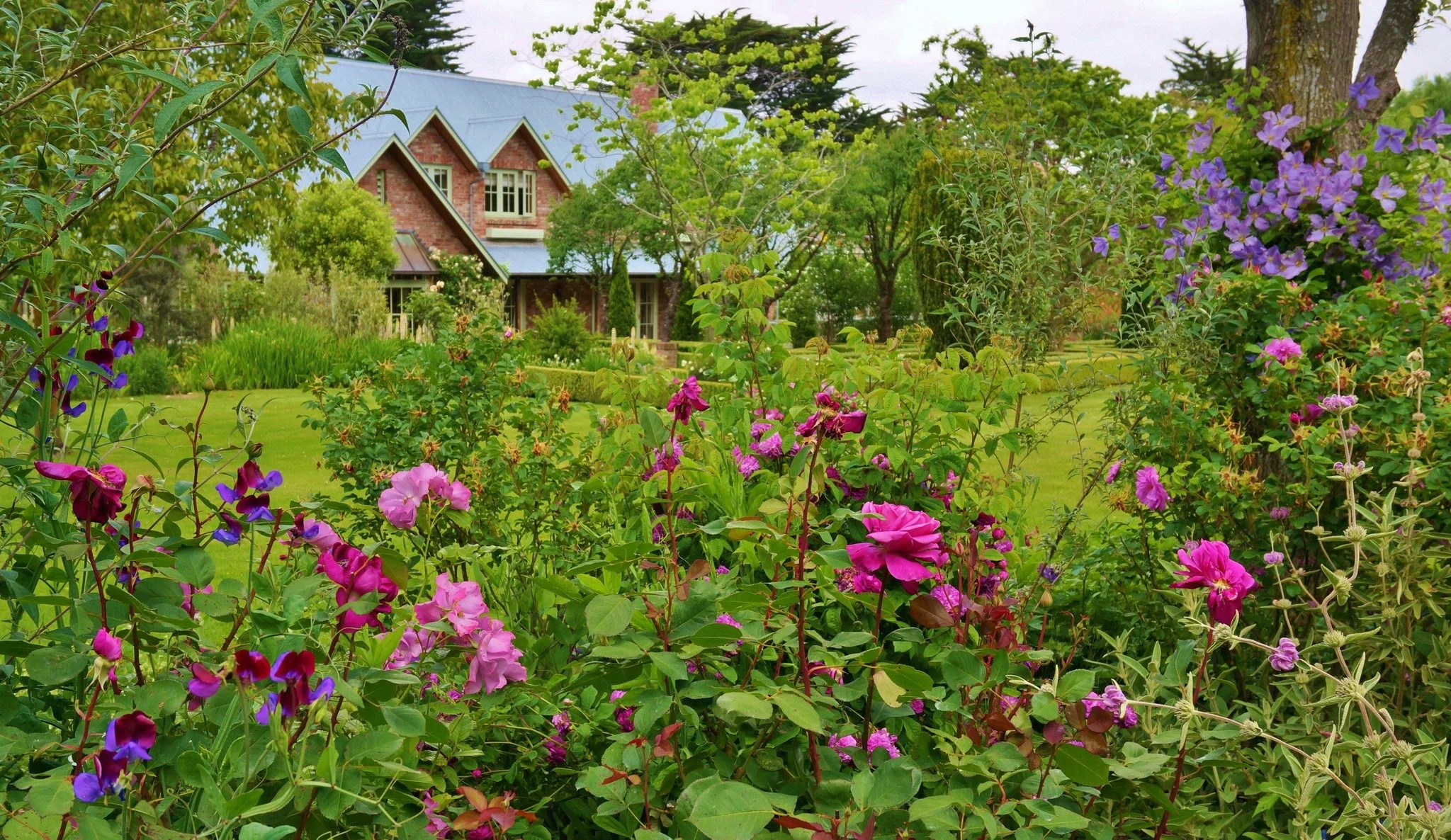 Frensham ⭐⭐⭐⭐⭐

Just outside Christchurch, Frensham unfolds as a beautifully composed country garden shaped by decades of observation and care. Every path and border feels considered &mdash; a balance of structure and softness that reflects a deep un