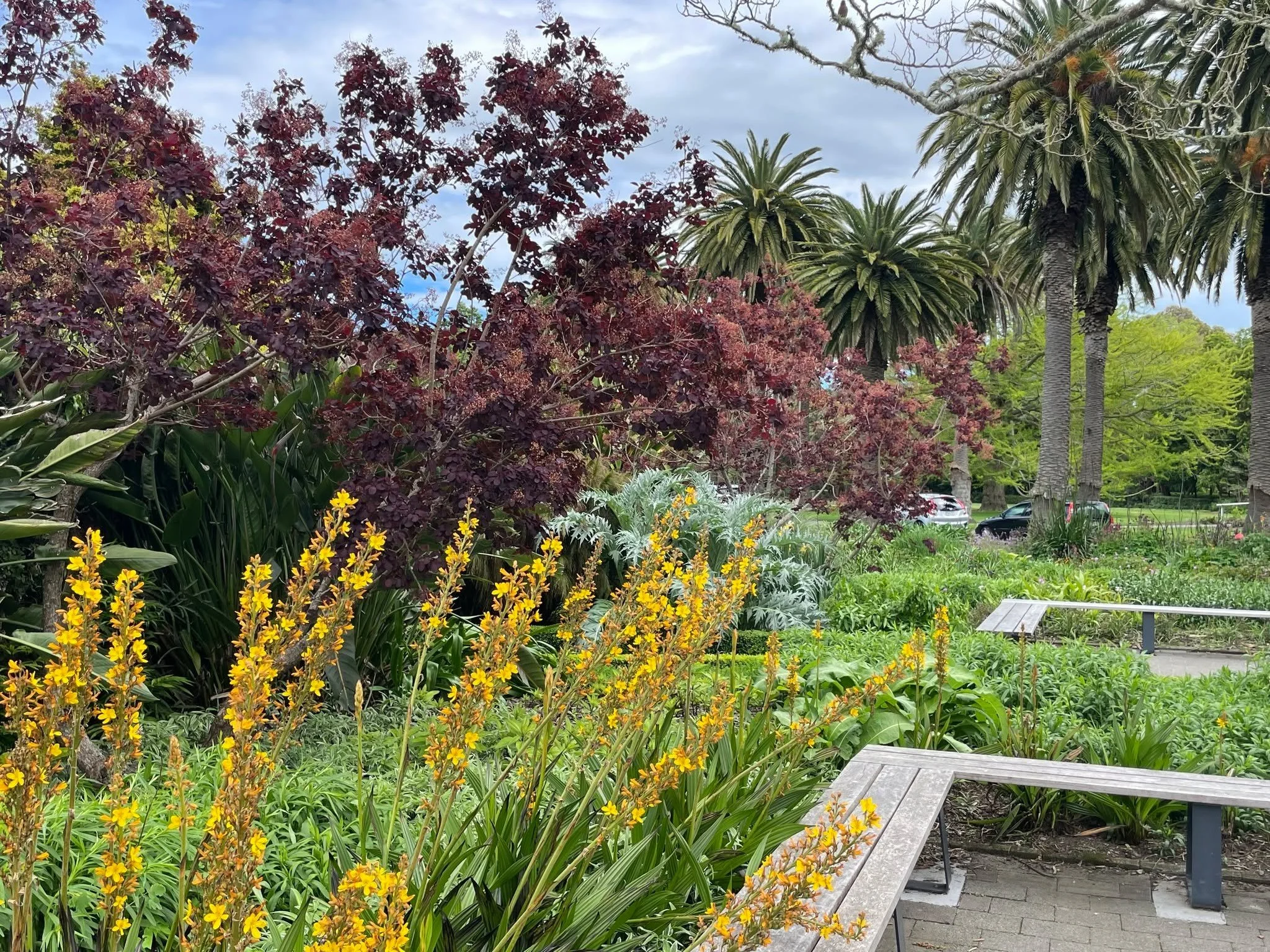 Victoria Esplanade Gardens ⭐⭐⭐⭐⭐

In the heart of Palmerston North, Victoria Esplanade Gardens spans 26 hectares of beautifully varied landscape &mdash; from formal rose beds and conservatories to native bush and riverbank walks. It&rsquo;s a garden 