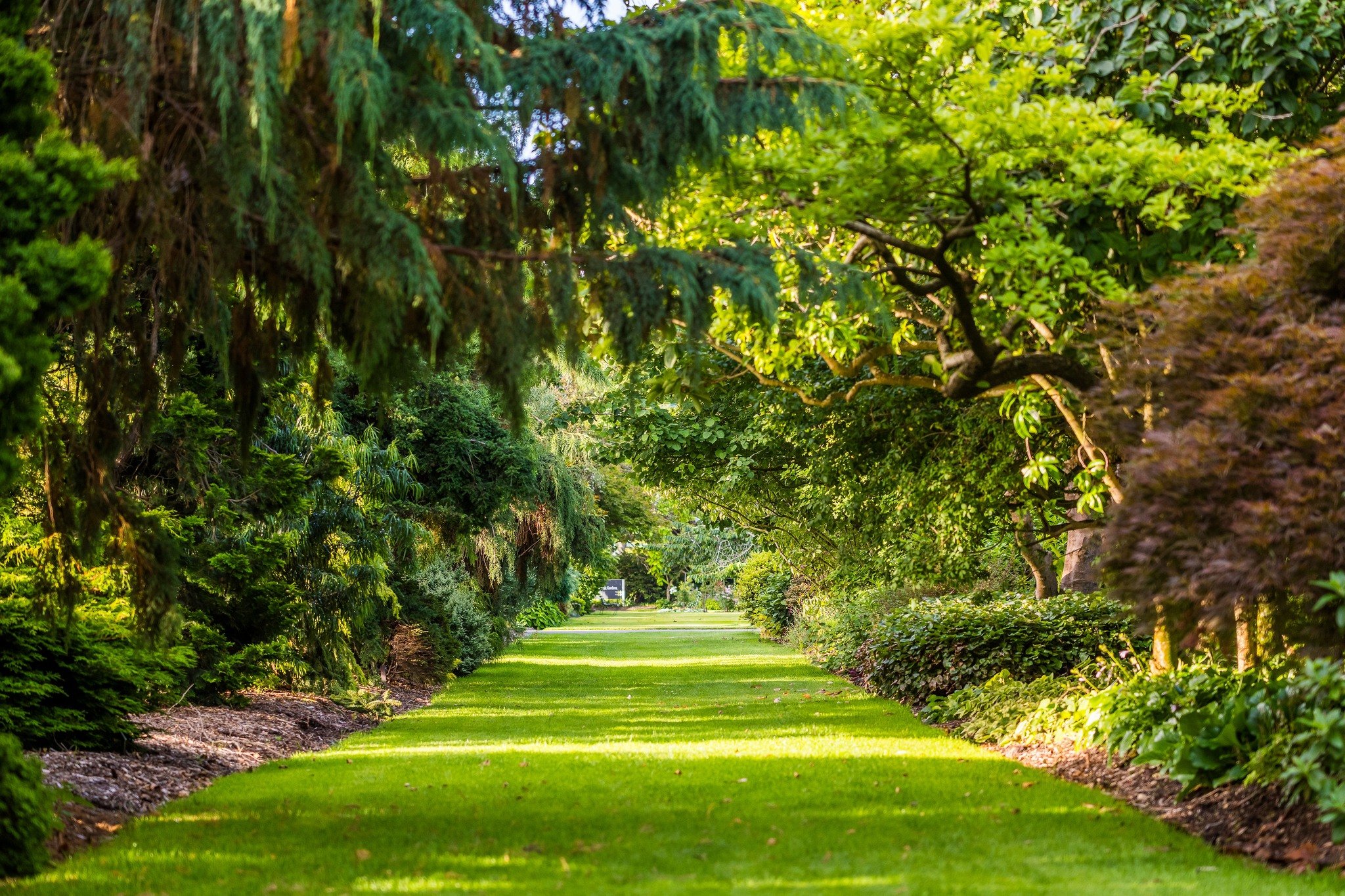 Gore Public Gardens ⭐⭐⭐⭐

In the heart of Southland, Gore Public Gardens offers a peaceful green space that has been part of the town&rsquo;s life for well over a century. It&rsquo;s a classic public garden &mdash; beautifully maintained, full of cha