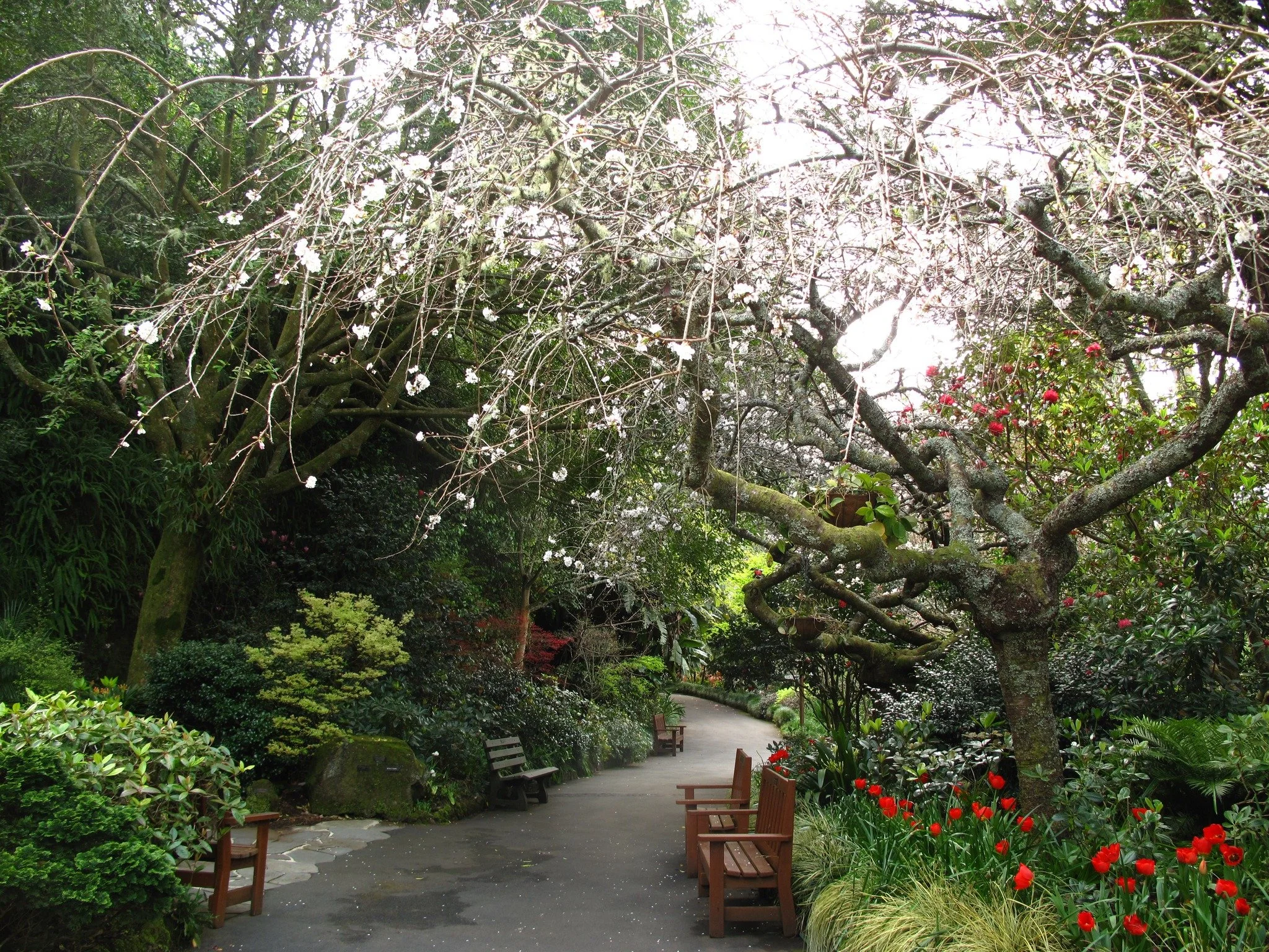 Eden Garden ⭐⭐⭐⭐⭐

Tucked into the slopes of Mt Eden, Eden Garden is one of Auckland&rsquo;s most unexpected treasures &mdash; a tranquil garden carved from the site of an old quarry, now transformed into a lush landscape of winding paths, ponds, and