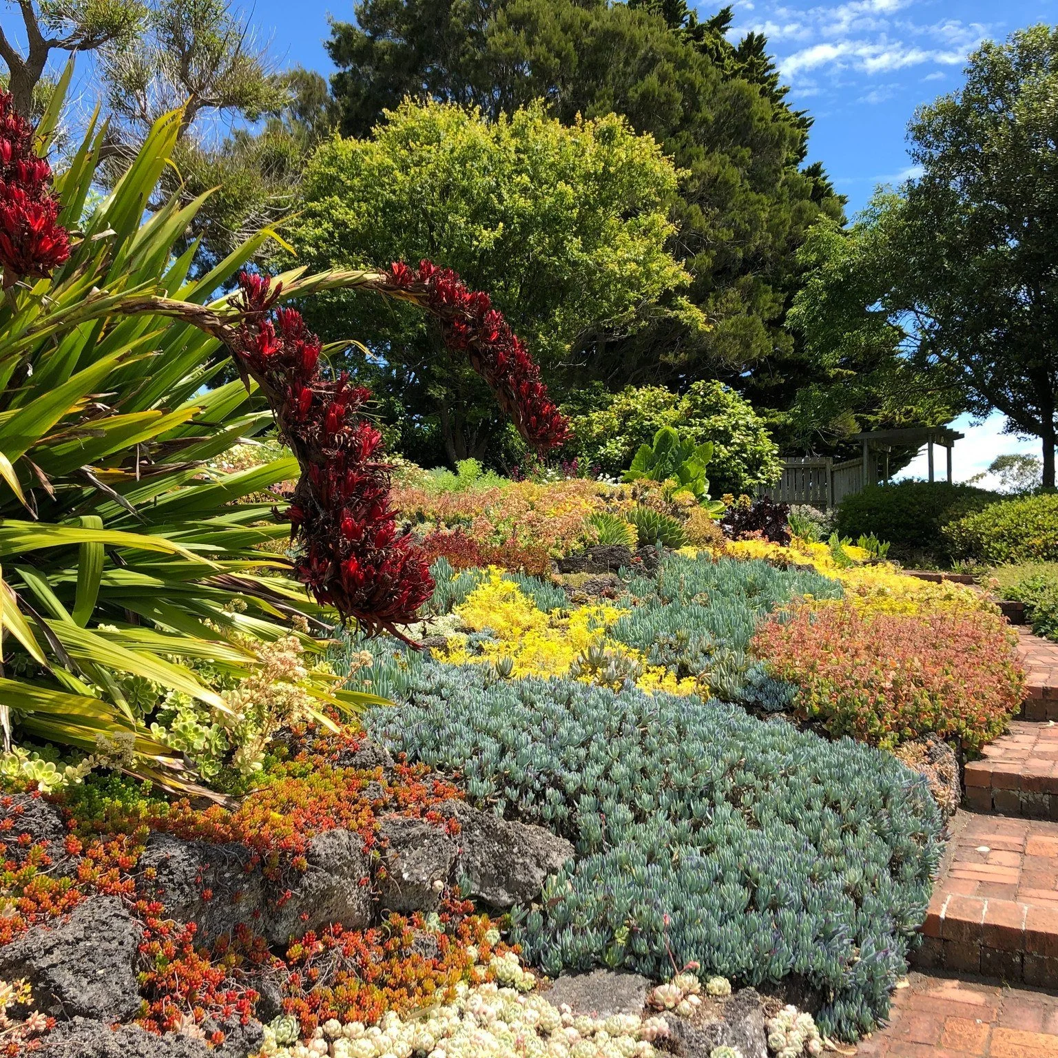 Bason Botanic Gardens ⭐⭐⭐⭐

Just outside Whanganui, Bason Botanic Gardens spans around 25 hectares of gently rolling terrain and diverse planting. The journey through the garden takes you from woodland and wetlands to a Mediterranean-style hillside, 