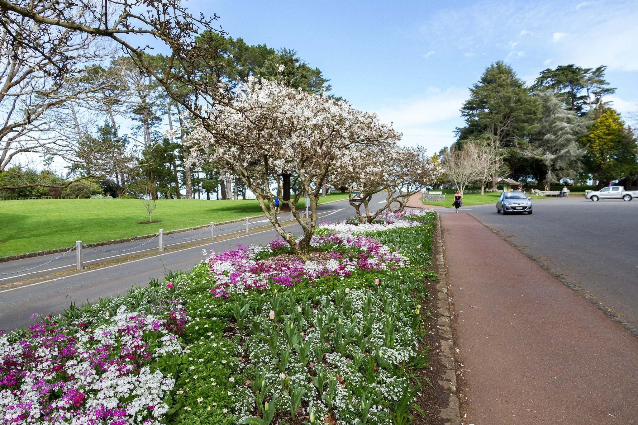 Cornwall Park ⭐⭐⭐⭐⭐

In the heart of Auckland, Cornwall Park is a landscape that feels both generous and grounded &mdash; a place where history, design, and daily life come together. Designed in the early 20th century with a vision of open space for 