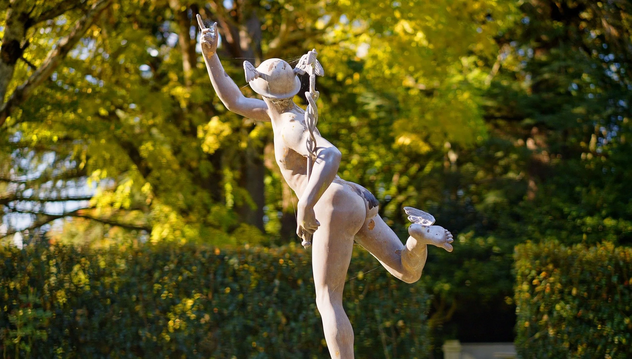 Wairarapa's secret gardens on display! 
A fantastic look at this fundraising event by the Dom Post. 
You can join the trip from Wellington or Featherston. 

https://www.thepost.co.nz/nz-news/360888172/wairarapas-secret-gardens-display
@parkvalegarden