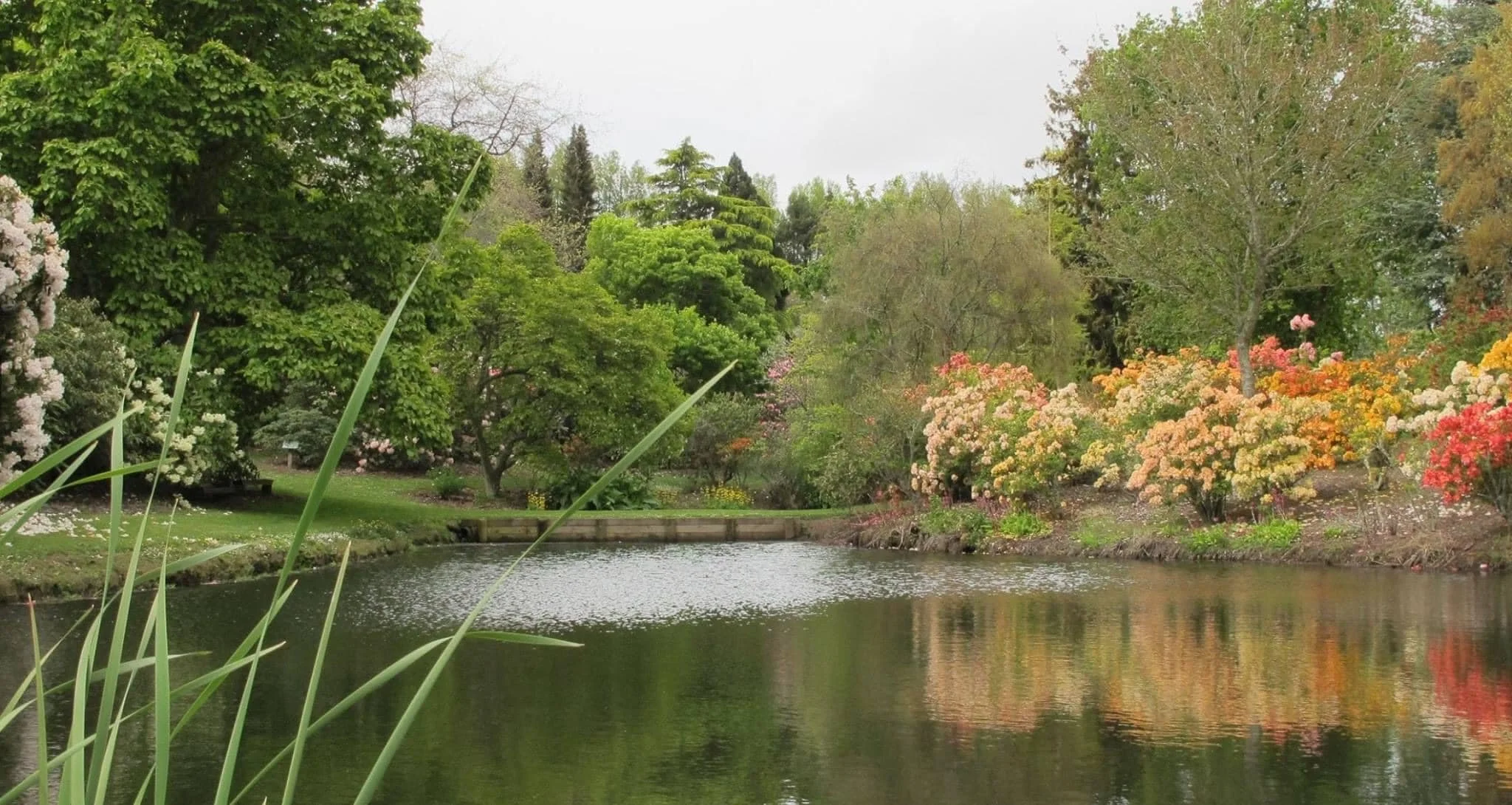 Welcoming Heritage Park Gardens, Kimbolton &mdash; Our Newest Collection Member

We&rsquo;re delighted to announce that Heritage Park Gardens in Kimbolton is now the newest member of our nationwide collection of remarkable gardens &mdash; and what a 