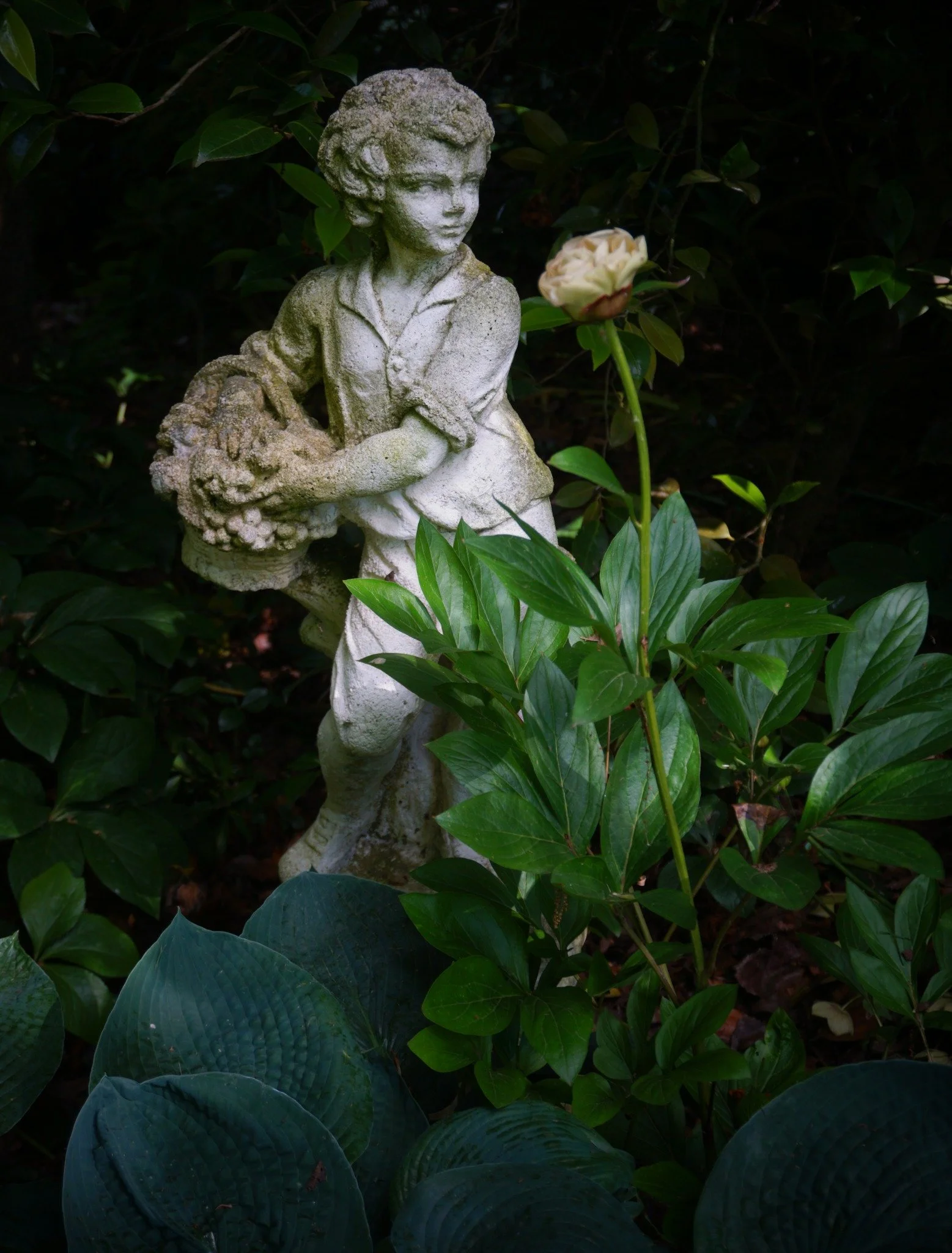 Coldstream Garden ⭐⭐⭐⭐⭐

Coldstream Garden combines strong structure with the openness of the rural South Canterbury landscape, creating a garden that feels both carefully designed and deeply connected to its surroundings. Clean lines, clipped shapes