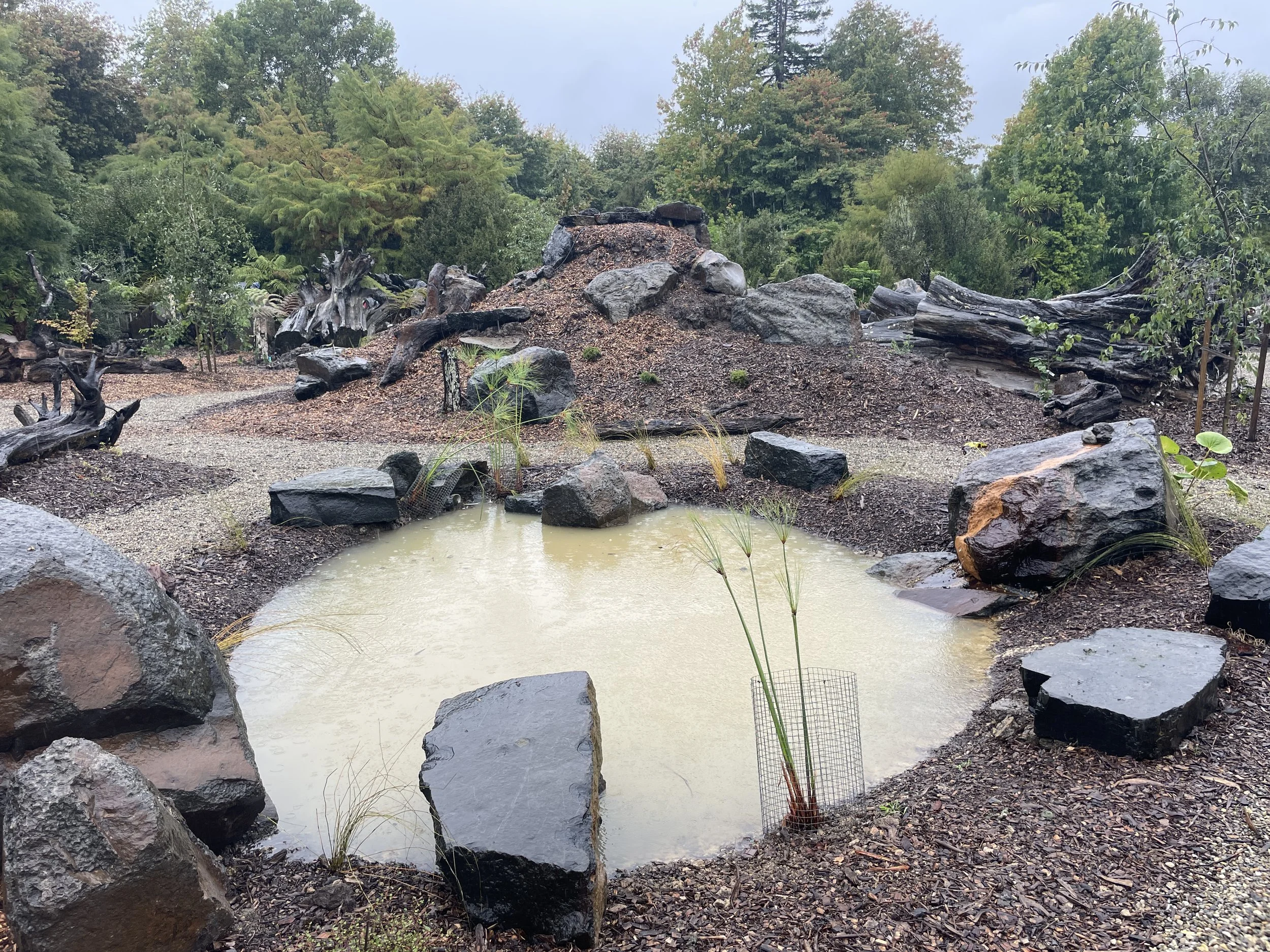 The quiet revival of the stumpery