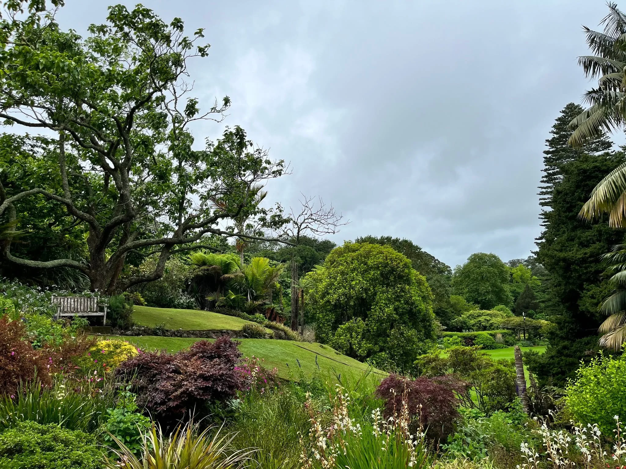 A landscape of exotic trees and native New Zealand flora welcomes you, creating a garden rich in character and history. Some of the trees date back to the 1870s, standing alongside original lava outcrops and remnants of indigenous vegetation that sha