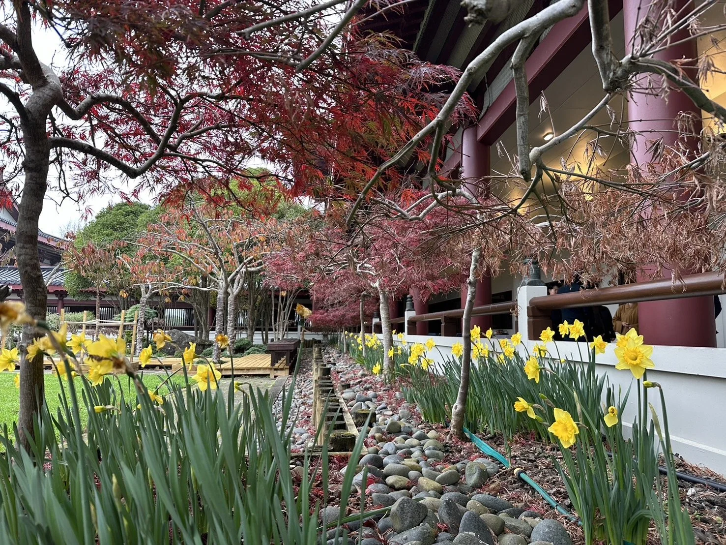 Fo Guang Shan Buddhist Temple NZ