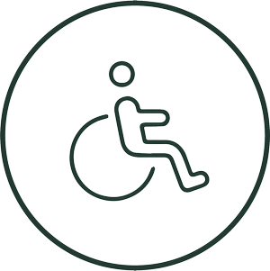 nzgt-disabled.png
