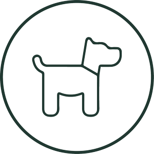 nzgt-dogs.png