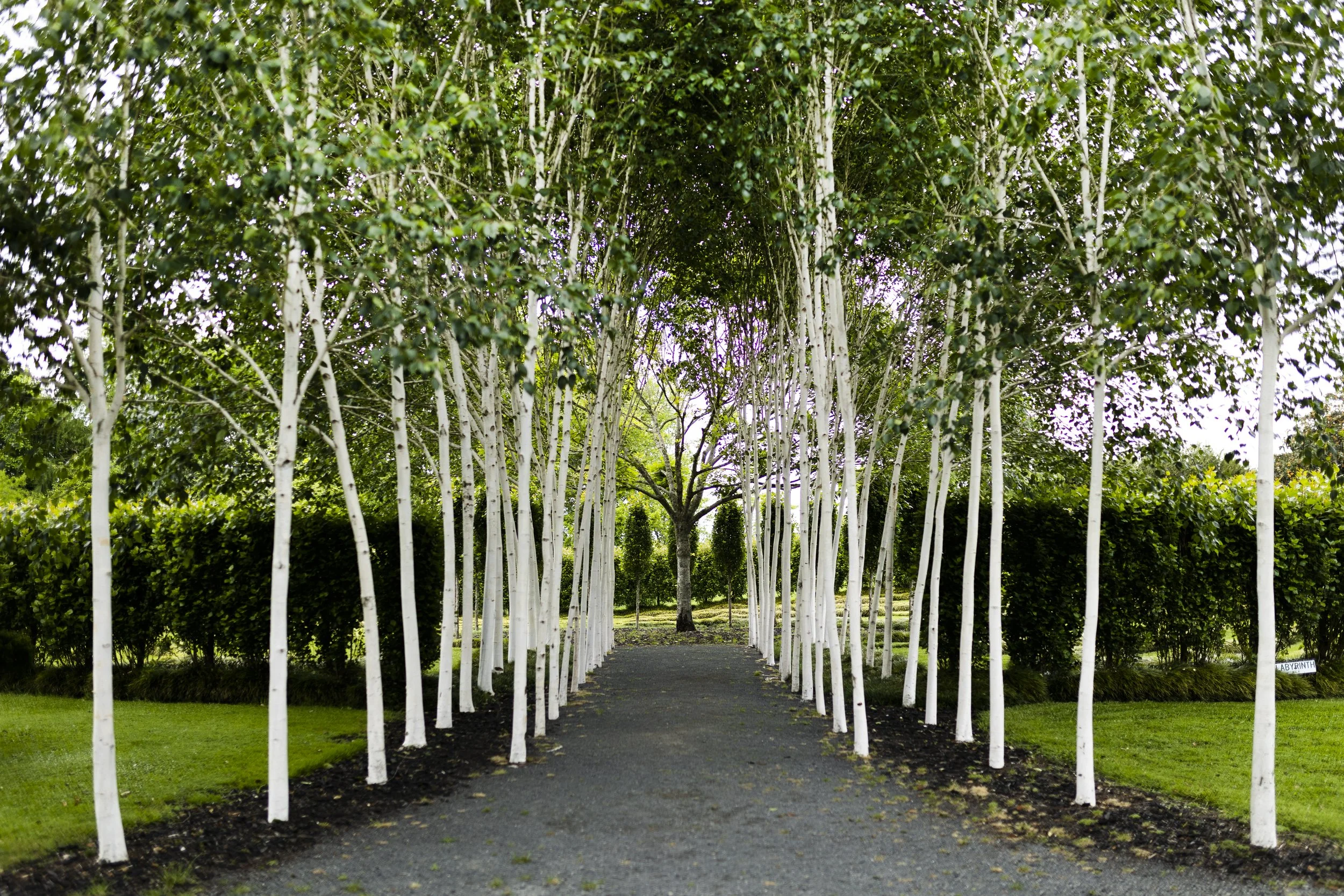 TreeChurch and Gardens