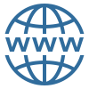 icons8-website-100.png