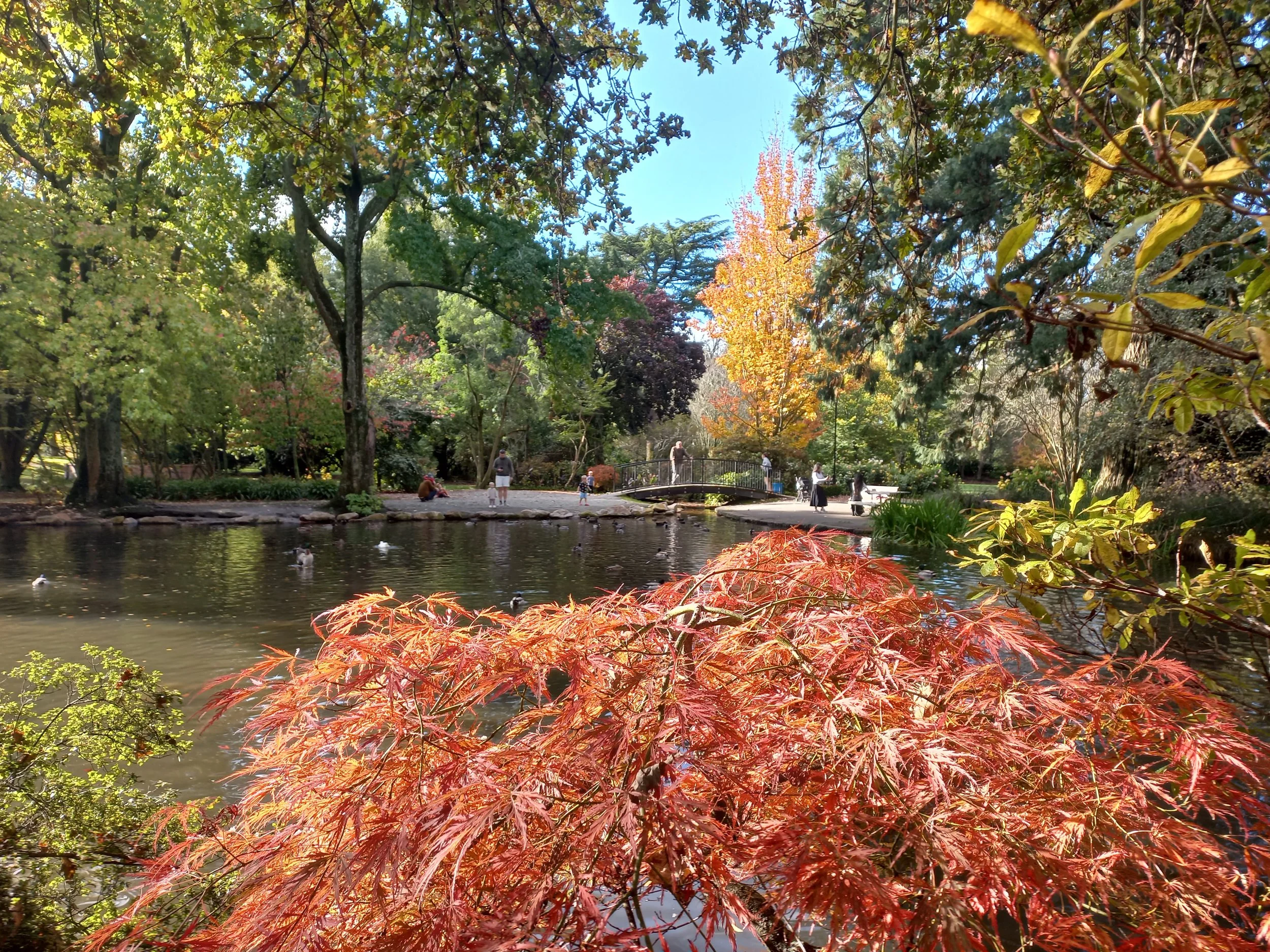 Ashburton Domain