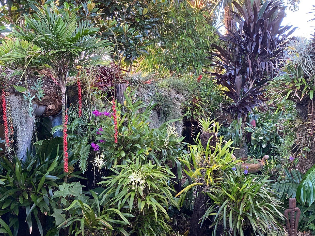 🌟New 5 Star Garden for 2026! 🌟Pōhutukawa House - A Garden of National Significance.

A harmonious and cohesive garden filled with diverse plants, captivating horticultural moments, and fine details that reward slow looking. An immense variety of un