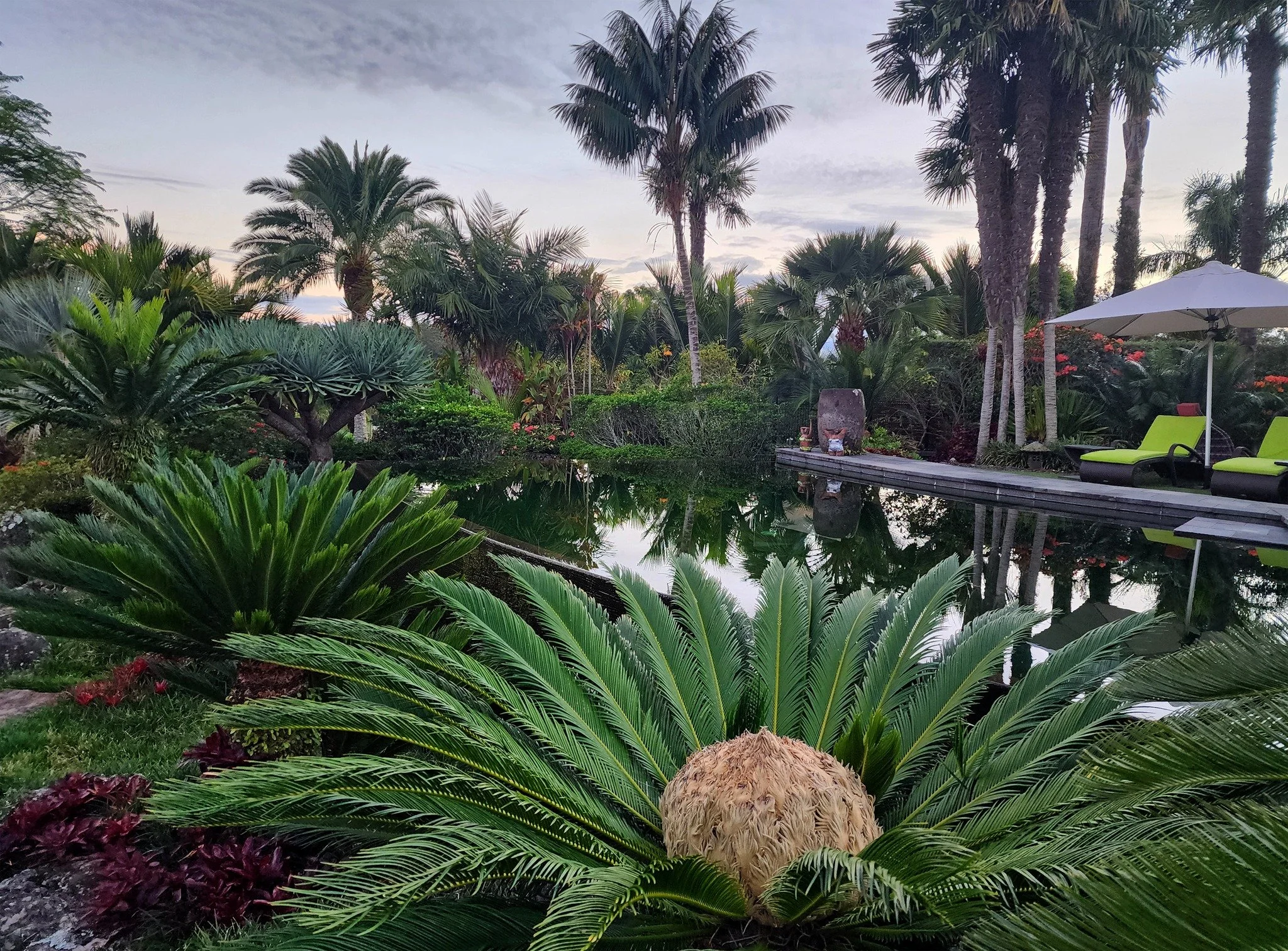 🌟New 5 Star Garden for 2026! 🌟Silkwood Lodge - A Garden of National Significance

A richly planted native and sub-tropical garden with a gentle Balinese influence, combining open views with smaller, sheltered places to pause. The structure of the g