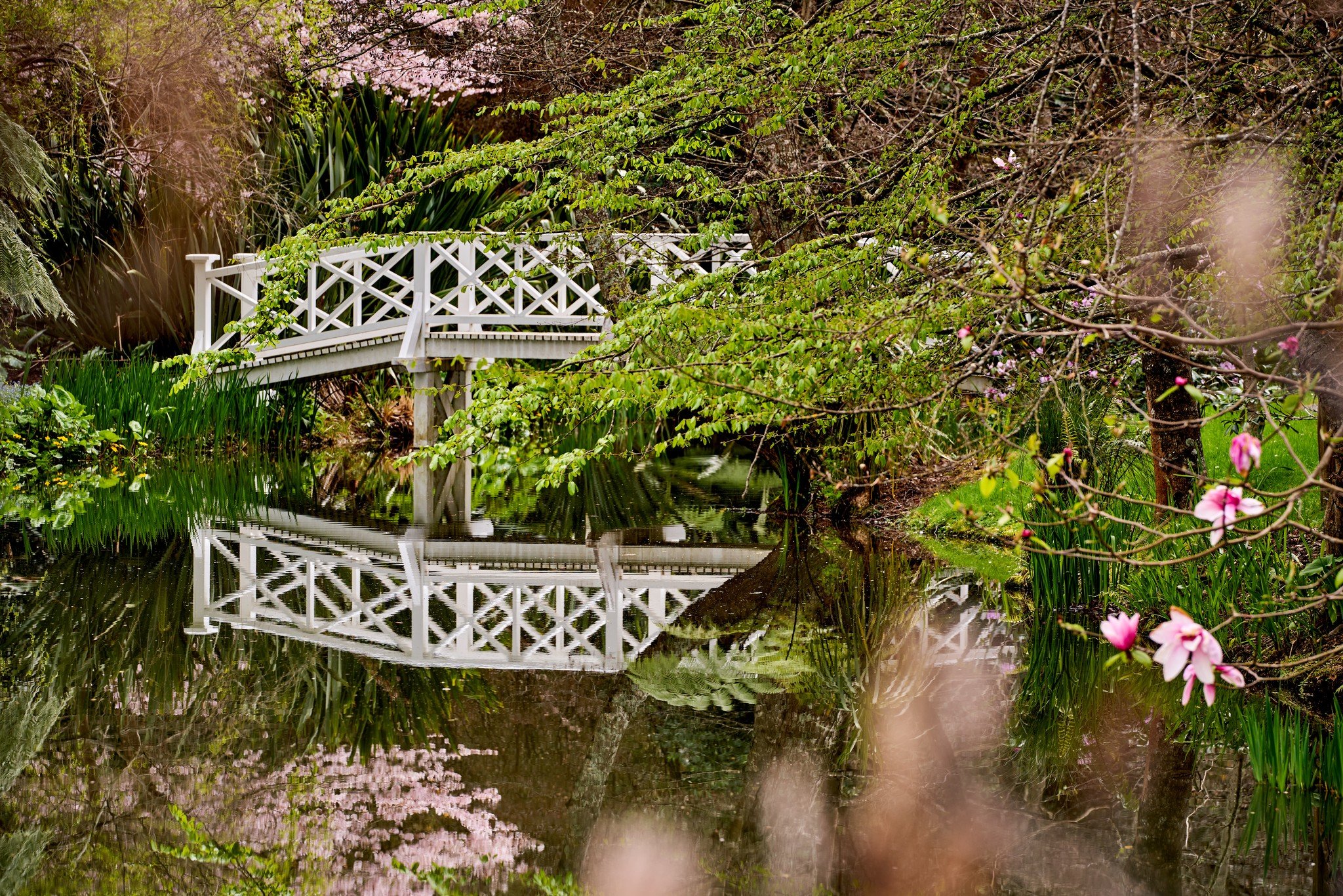 🌟New 5 Star Garden for 2026! 🌟Fernside - A Garden of National Significance

Fernside began as the country retreat of the pioneering Elgar family, who transformed a modest holding into one of the Wairarapa's leading estates. After fire destroyed the