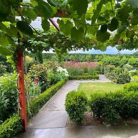 🌟New 5 Star Garden for 2026!🌟Red Sheds - A Garden of National Significance.

Red Sheds was imagined, designed and continues to be created with simplicity in mind. Where a thorough understanding of structure replaces high maintenance. Every space mu