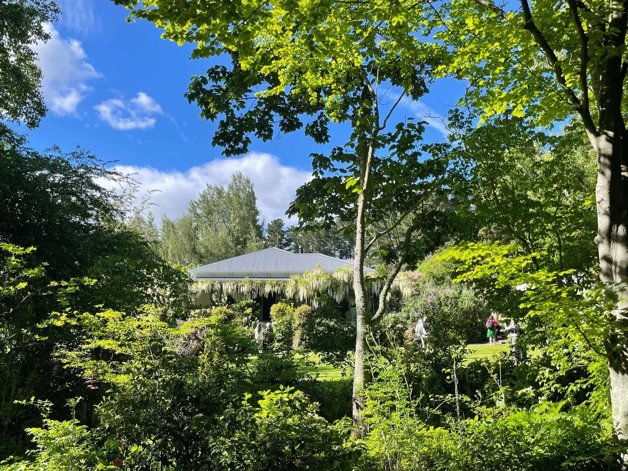 🌟New 5 Star Garden for 2026!🌟Barewood - A Garden of National Significance

Much loved - Barewood is once again in the Trust and open to visit! 
It remains one of Aotearoa&rsquo;s oldest and most treasured private gardens. Designed and developed ove